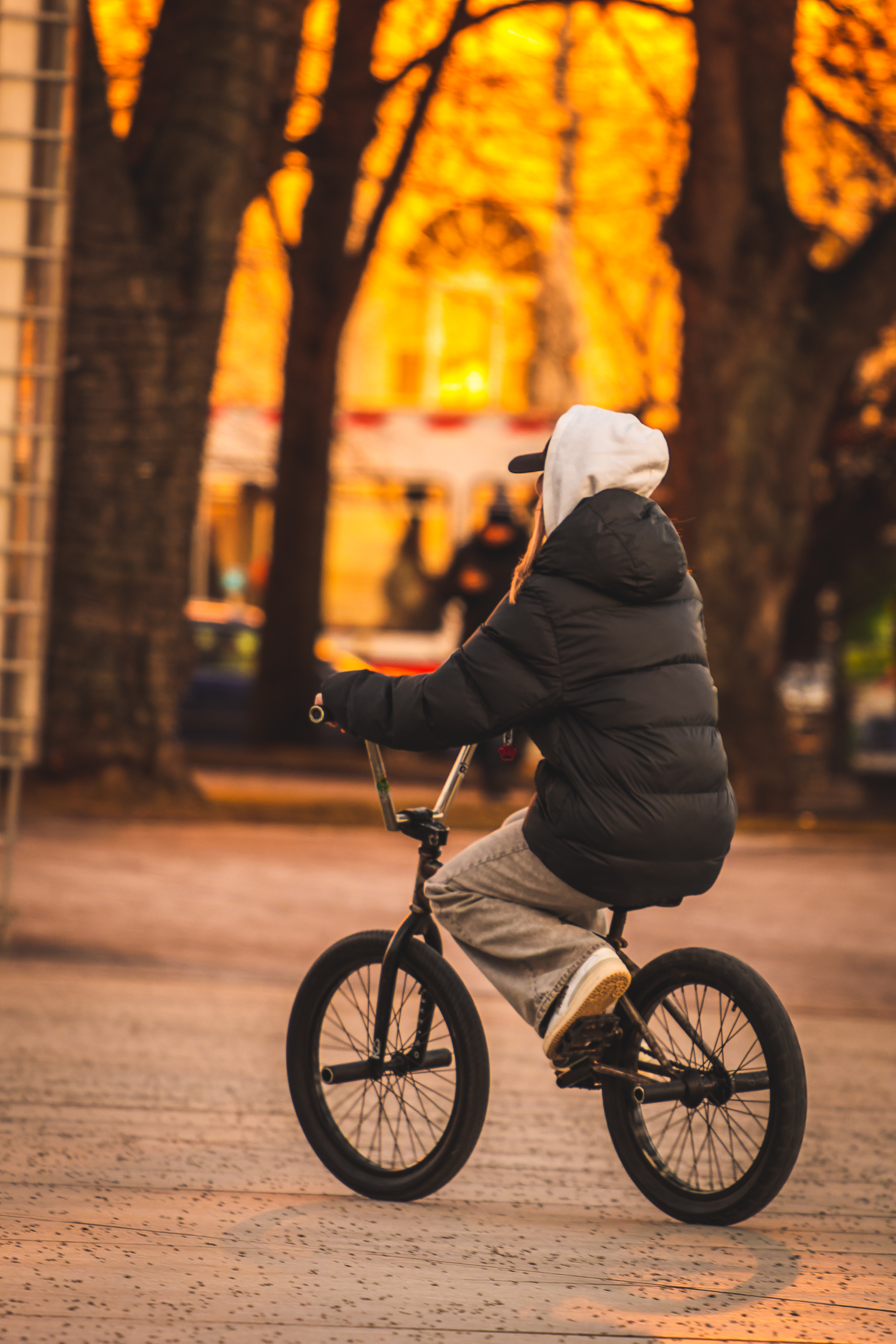 Ratta-Ralli (kutsutud tulijad). Nebula 25 — Fotod teie hingele