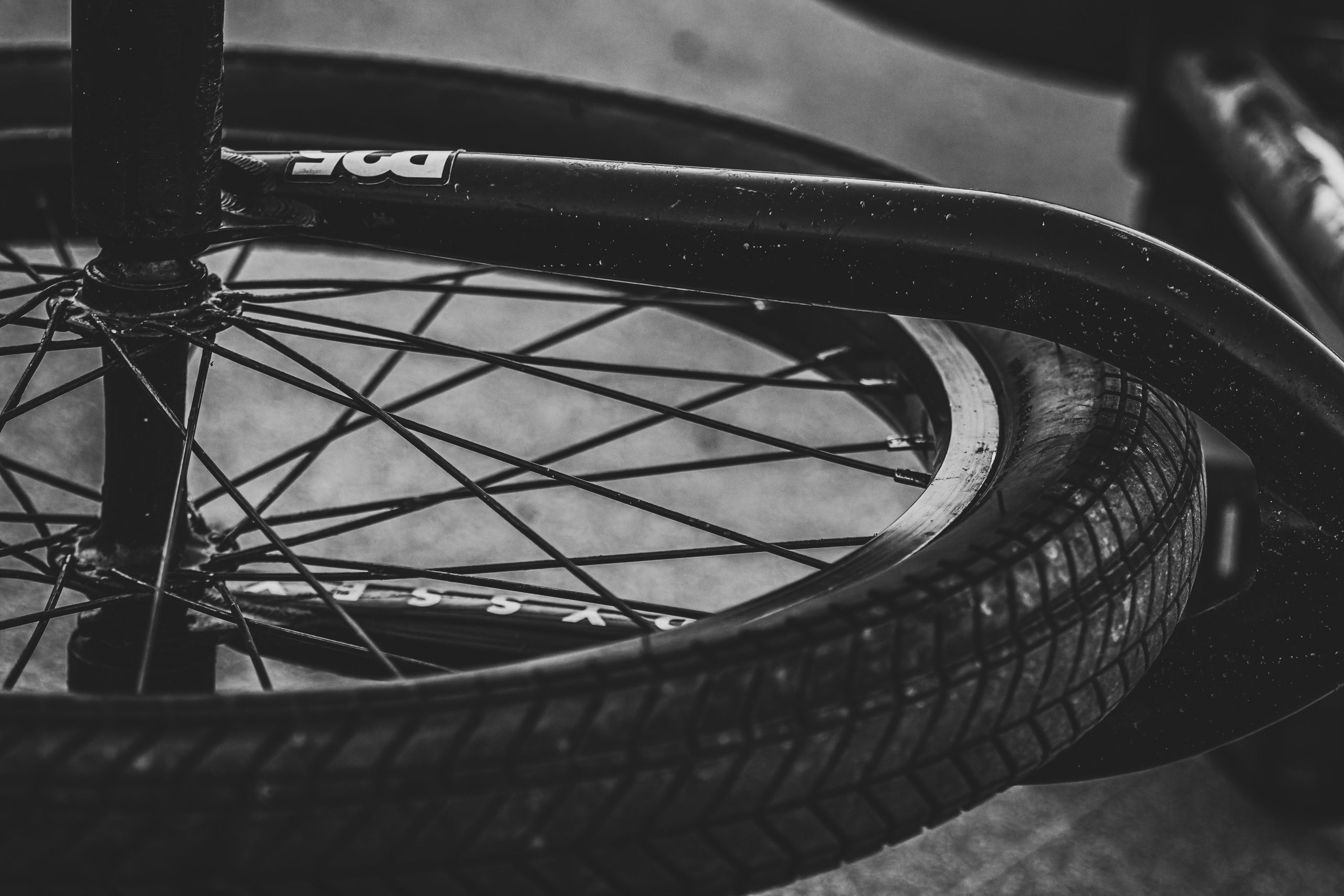 Ratta-Ralli (kutsutud tulijad). Nebula 25 — Fotod teie hingele