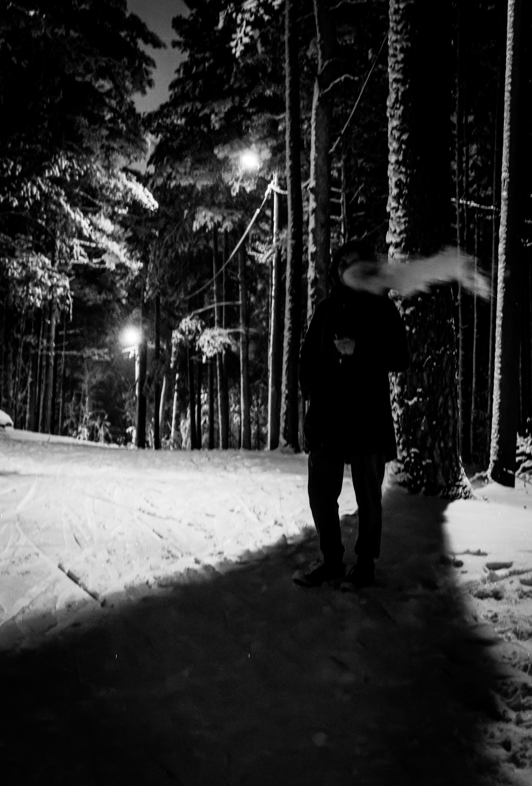 Pimeda metsa jalutamine (Stasja). Nebula 25 — Fotod teie hingele