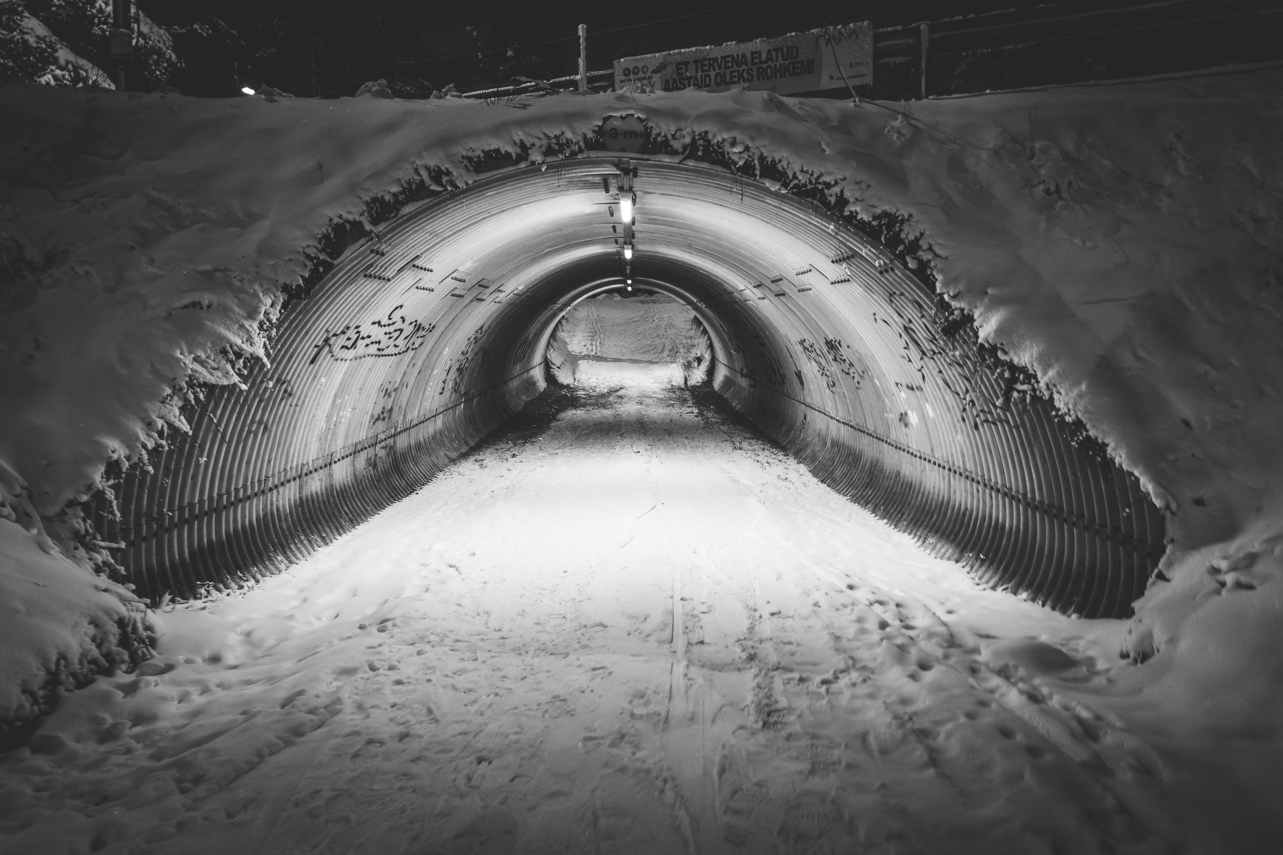 Pimeda metsa jalutamine (Stasja). Nebula 25 — Fotod teie hingele