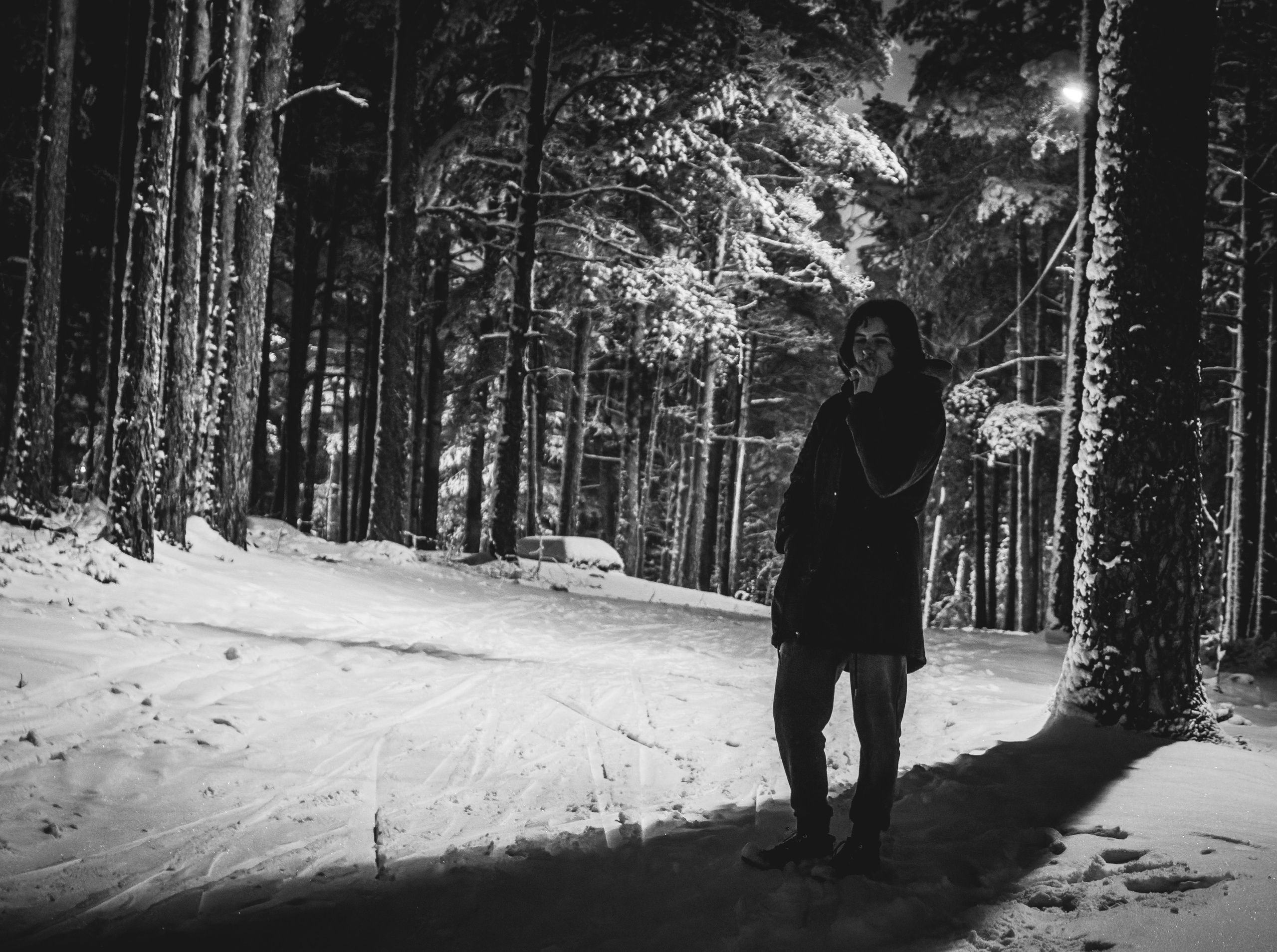 Pimeda metsa jalutamine (Stasja). Nebula 25 — Fotod teie hingele