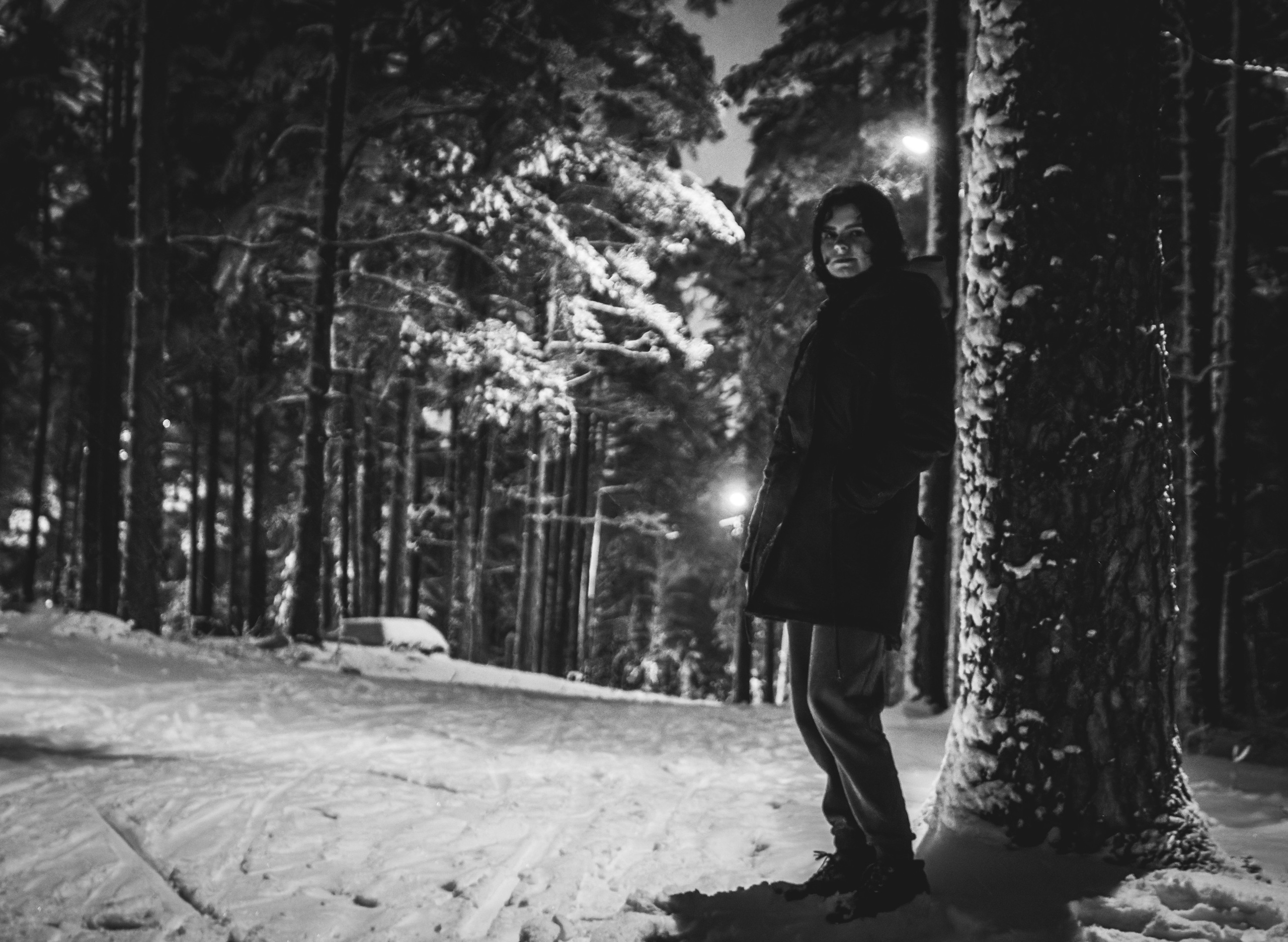 Pimeda metsa jalutamine (Stasja). Nebula 25 — Fotod teie hingele