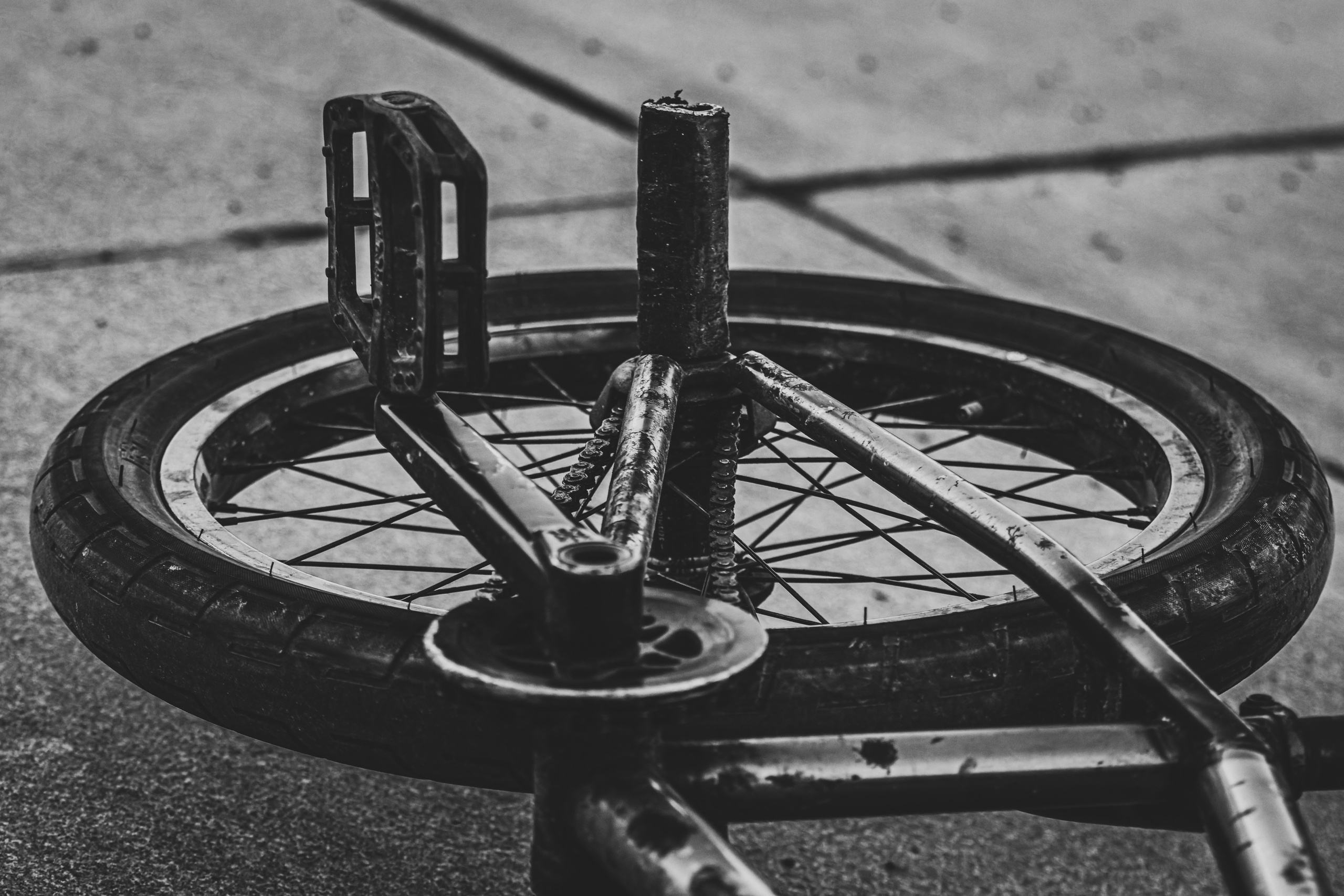 Ratta-Ralli (kutsutud tulijad). Nebula 25 — Fotod teie hingele