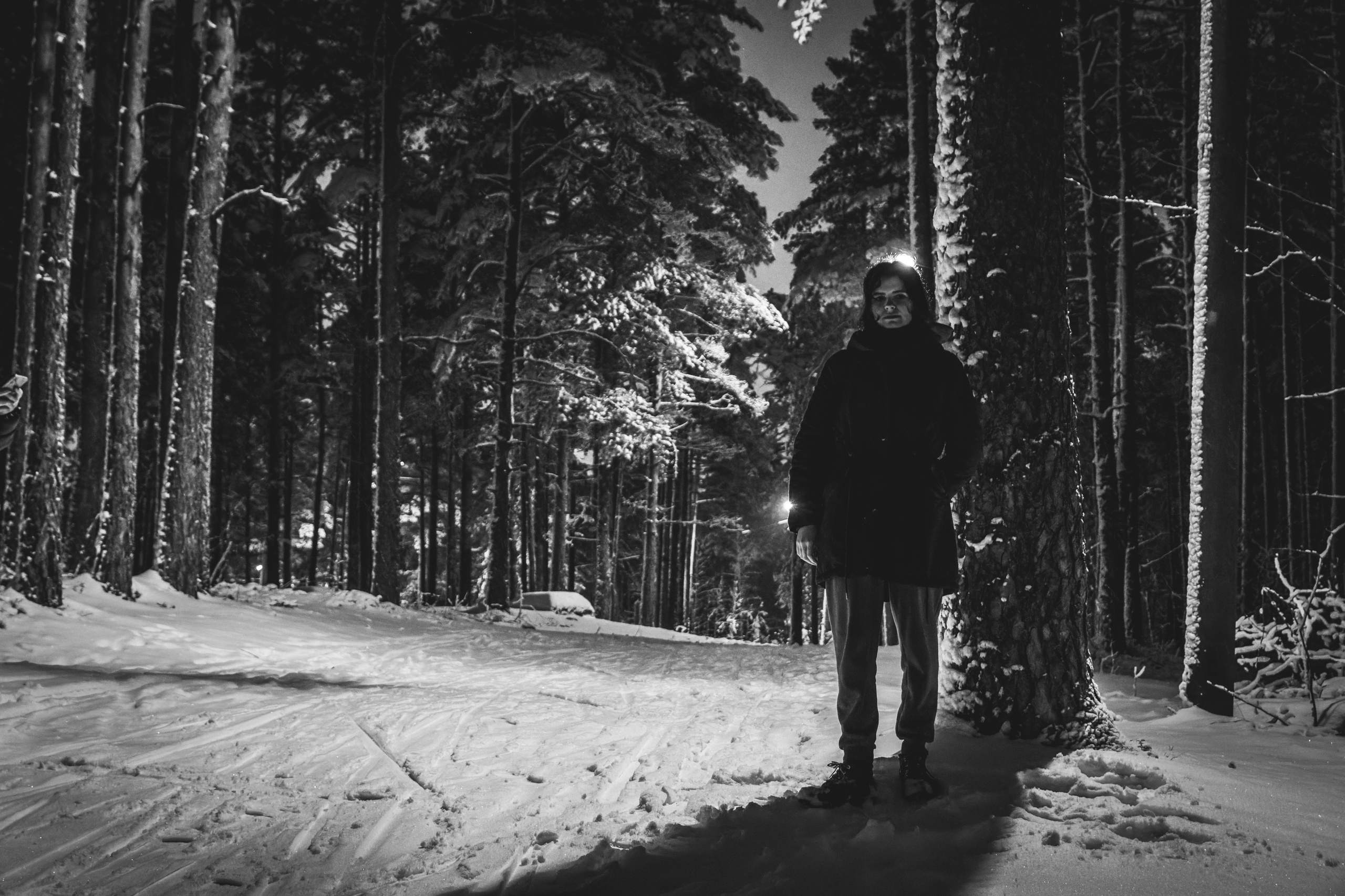 Pimeda metsa jalutamine (Stasja). Nebula 25 — Fotod teie hingele