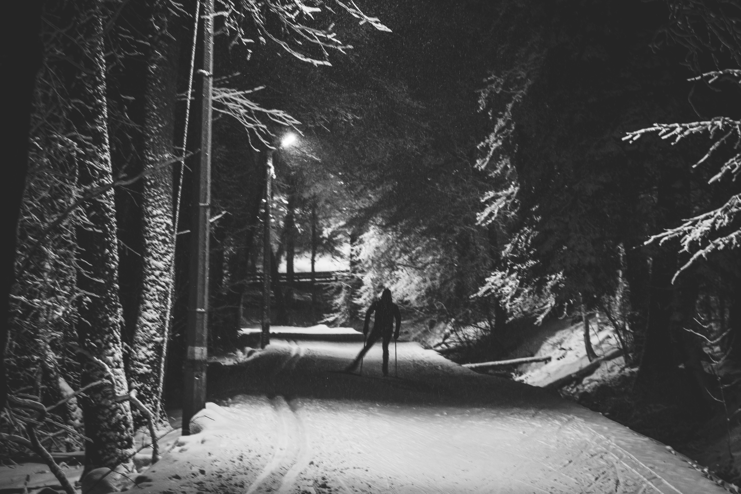 Pimeda metsa jalutamine (Stasja). Nebula 25 — Fotod teie hingele