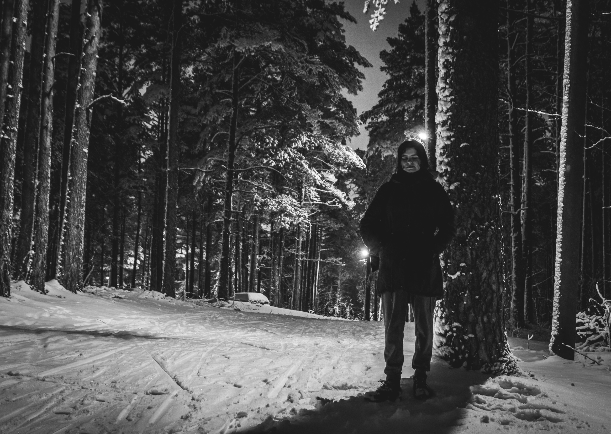 Pimeda metsa jalutamine (Stasja). Nebula 25 — Fotod teie hingele