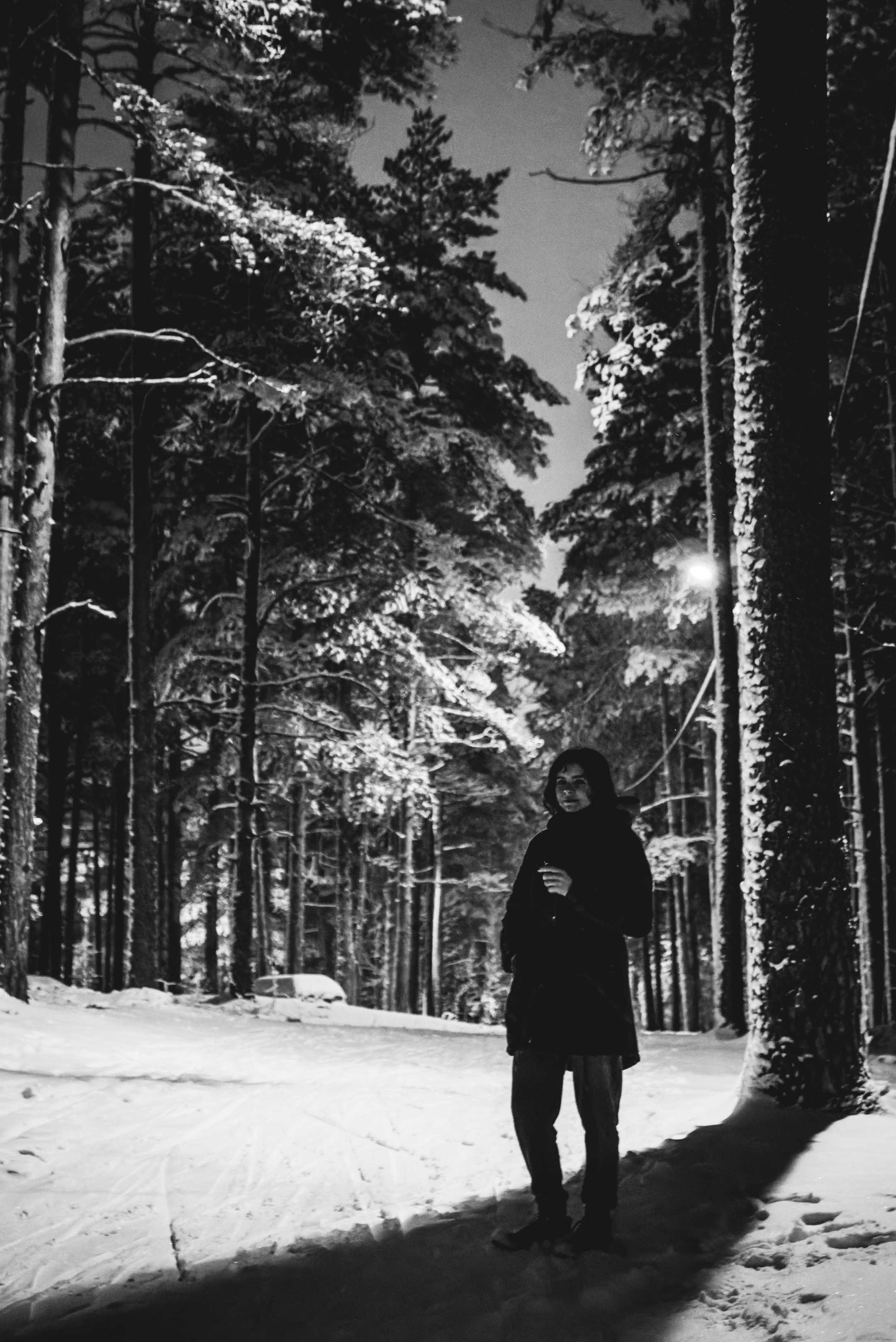 Pimeda metsa jalutamine (Stasja). Nebula 25 — Fotod teie hingele