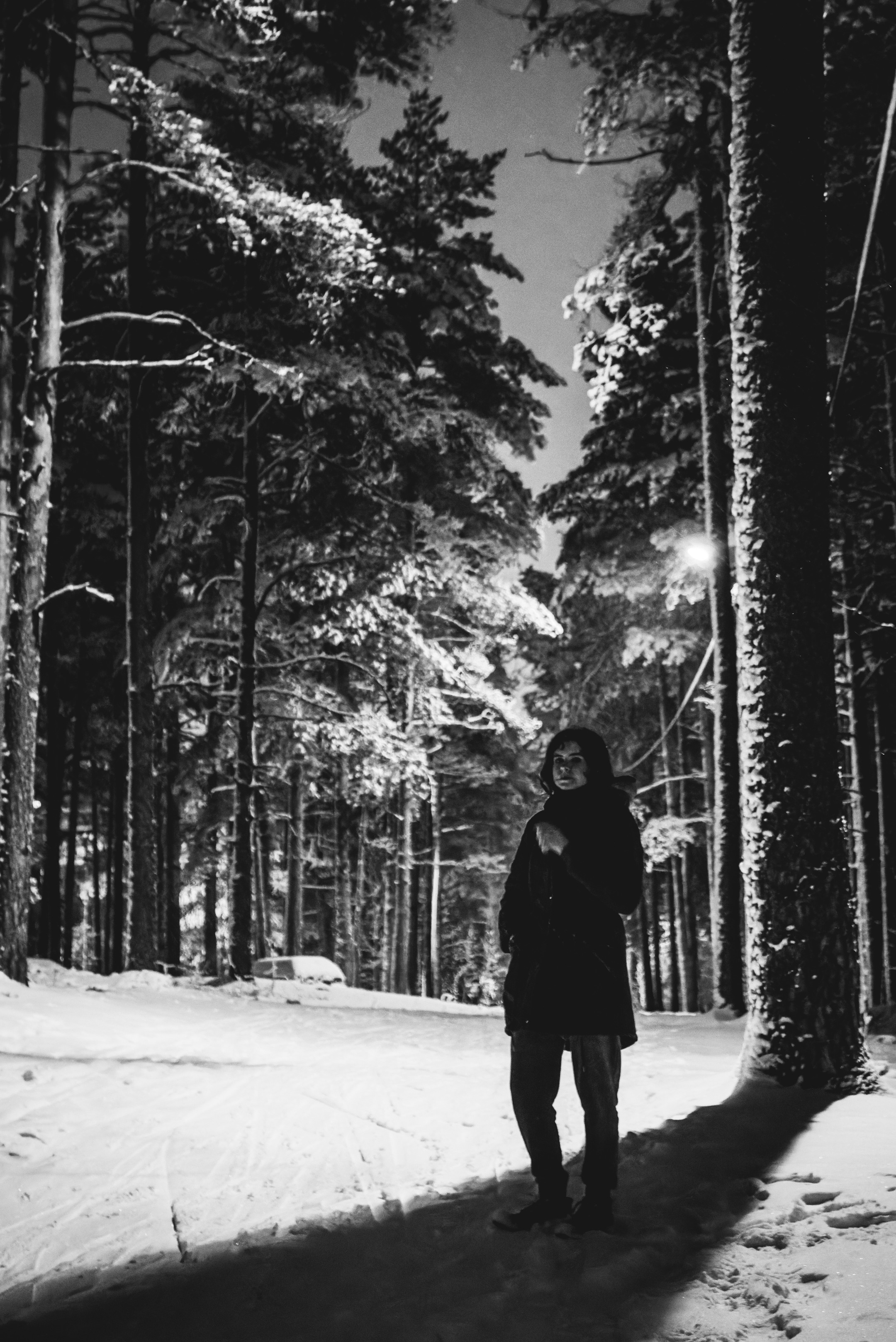 Pimeda metsa jalutamine (Stasja). Nebula 25 — Fotod teie hingele