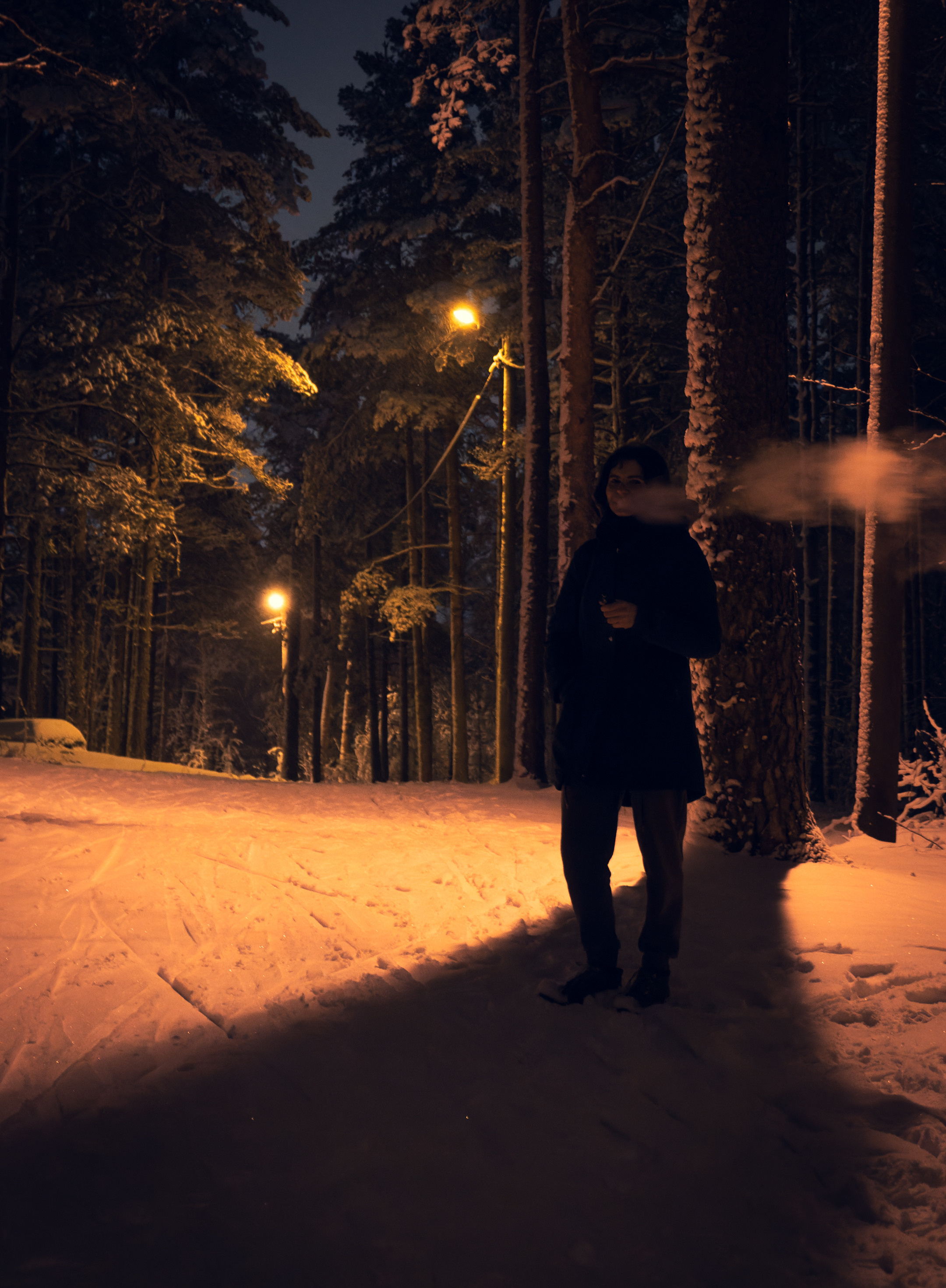 Pimeda metsa jalutamine (Stasja). Nebula 25 — Fotod teie hingele