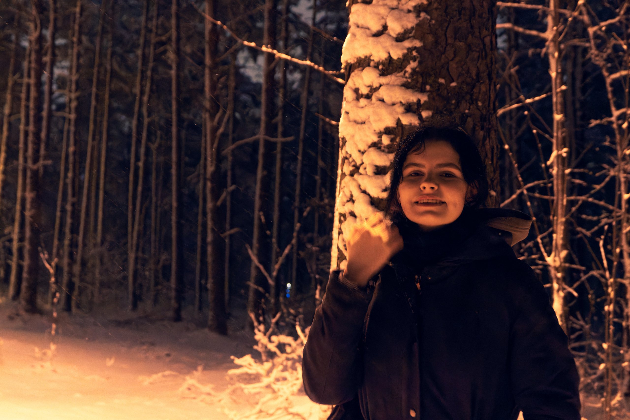 Pimeda metsa jalutamine (Stasja). Nebula 25 — Fotod teie hingele