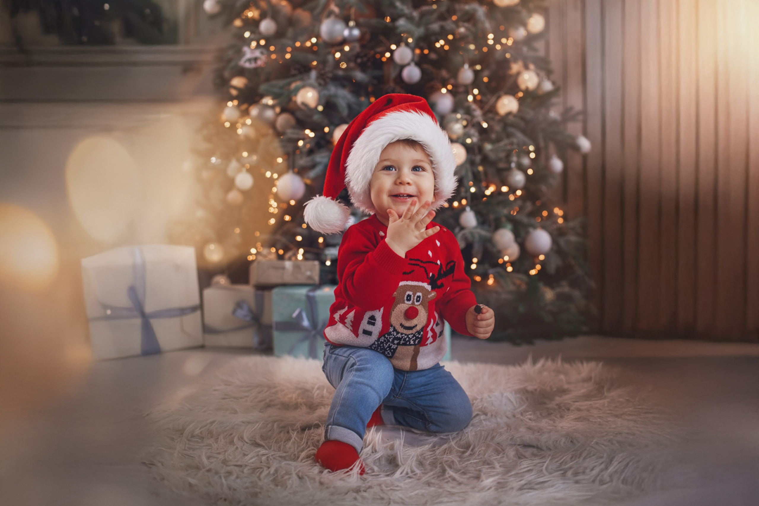 Christmas Time. Wedding, Family Photographer