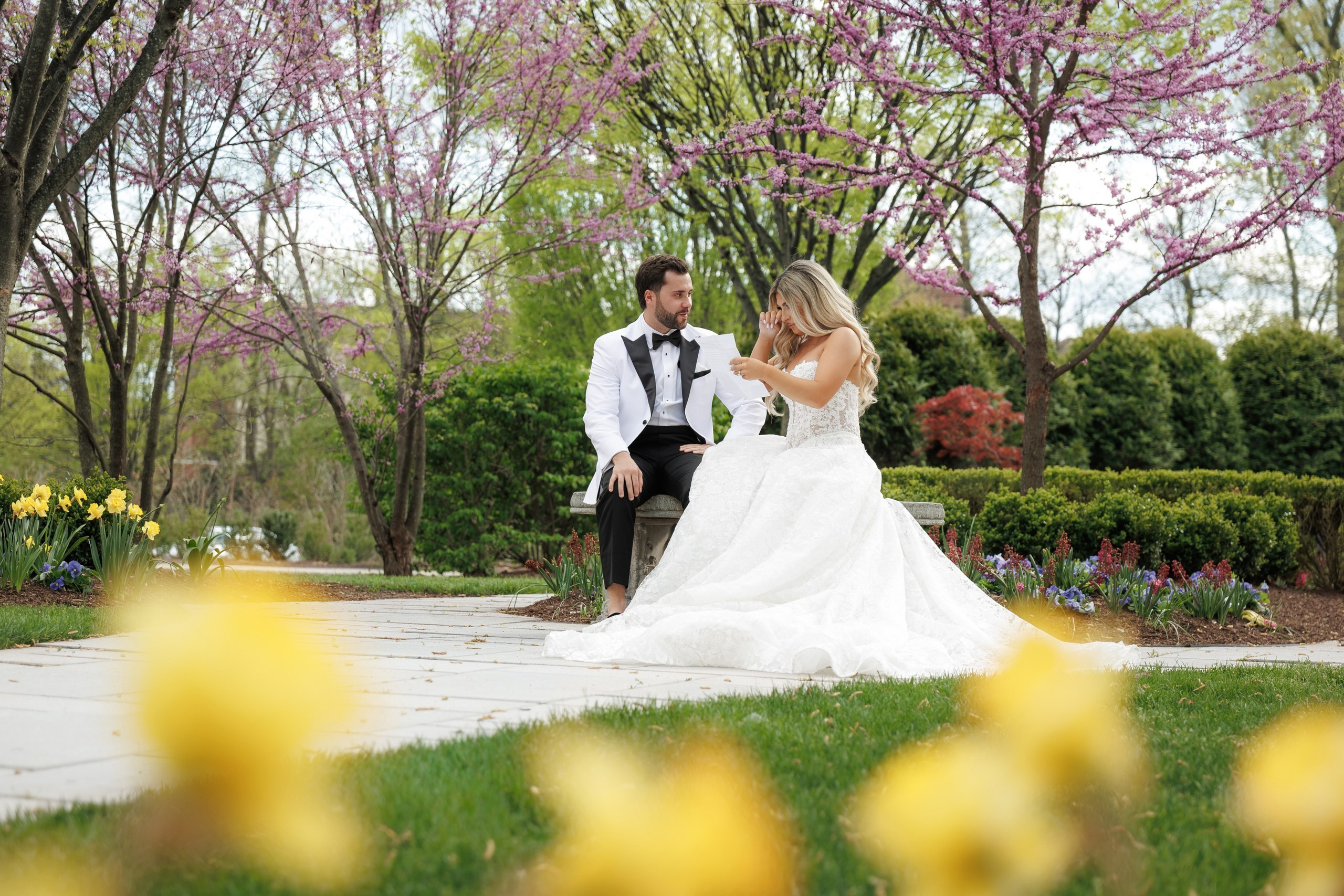 Brianna & Alec, The Palace at Somerset Park, NL. Wedding Photo & Video