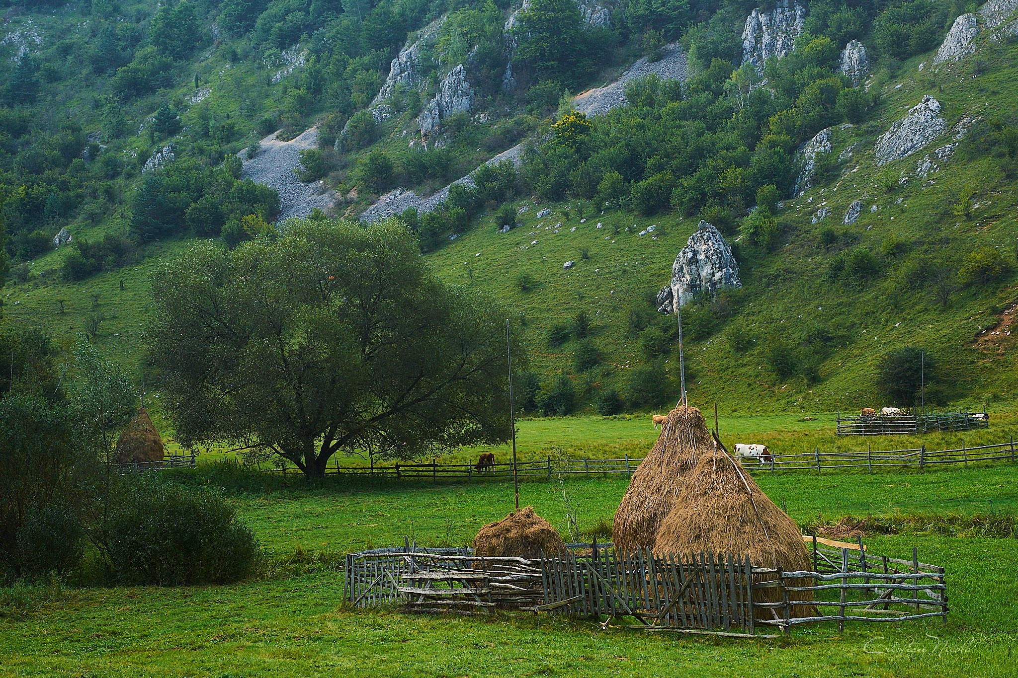 Fundătura Ponorului, jud. Humedoara. Pagina principală