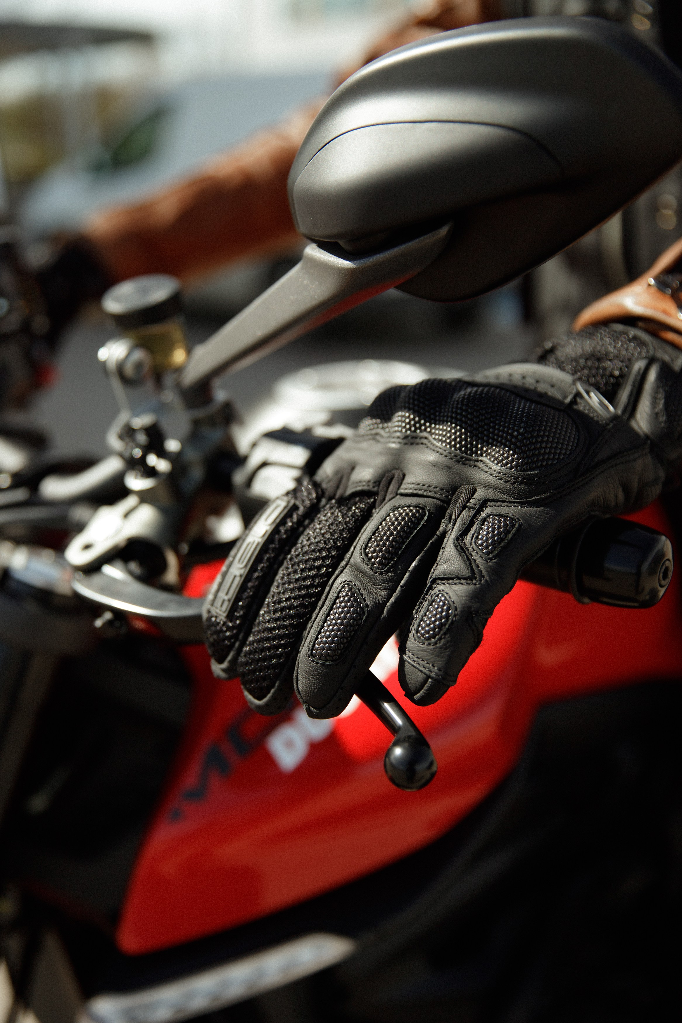 Alex. Kaja | fotograf psów we Wrocławiu