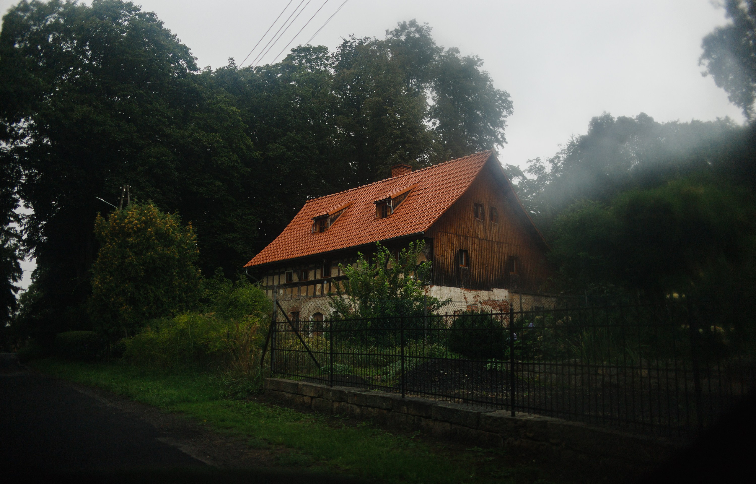 Zamek Grodziec. Kaja | fotograf psów we Wrocławiu