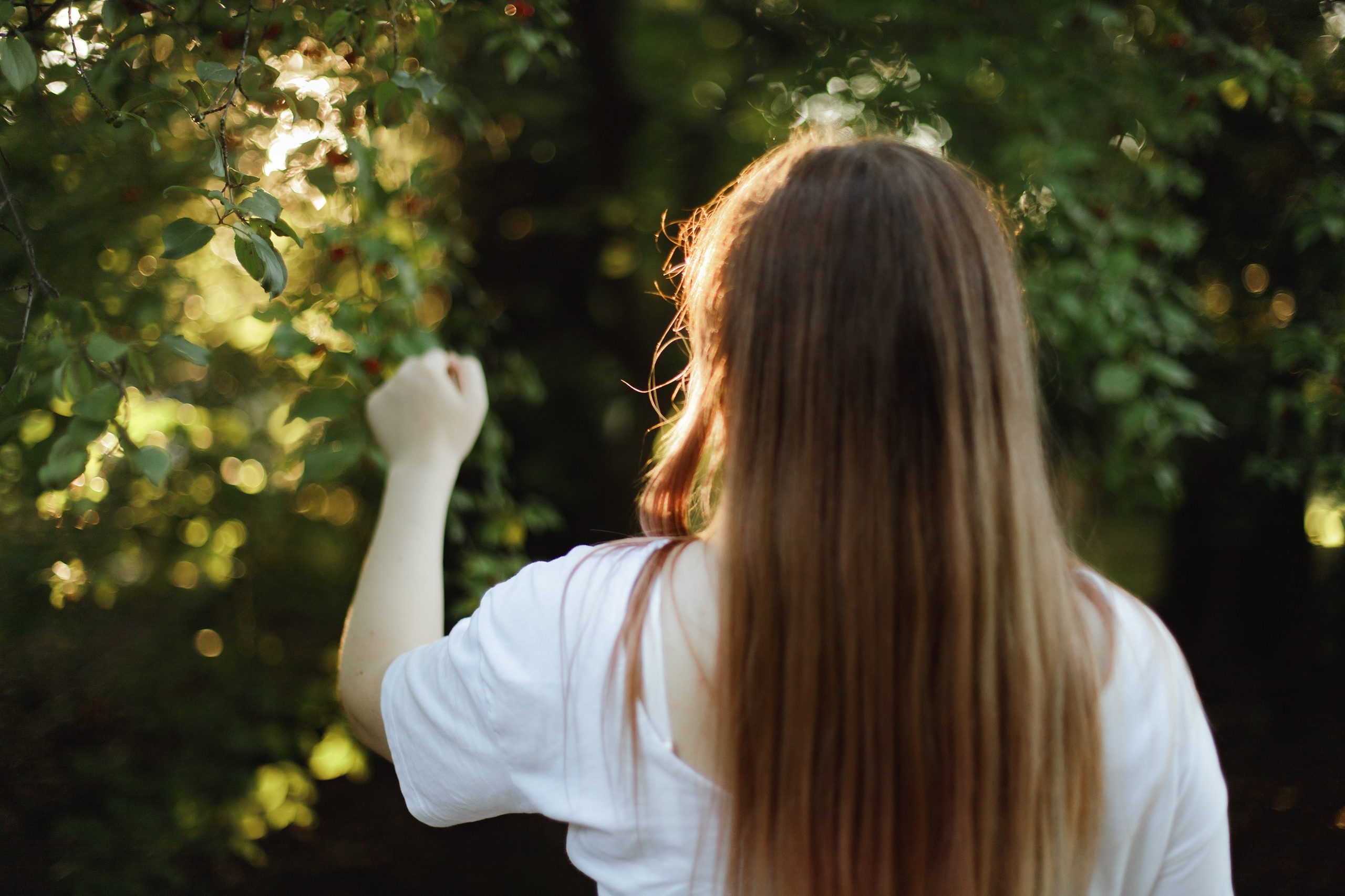 Nadya. Kaja | fotograf psów we Wrocławiu