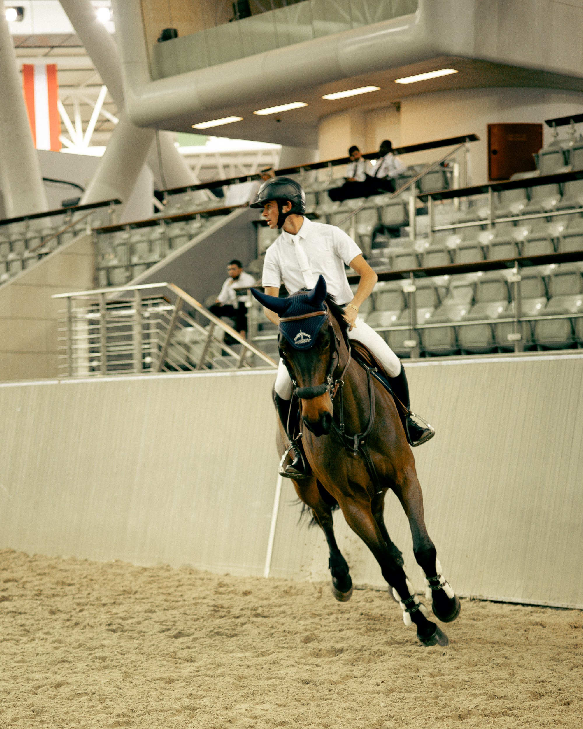 Antoine Ermann. Regina Turbin — official website