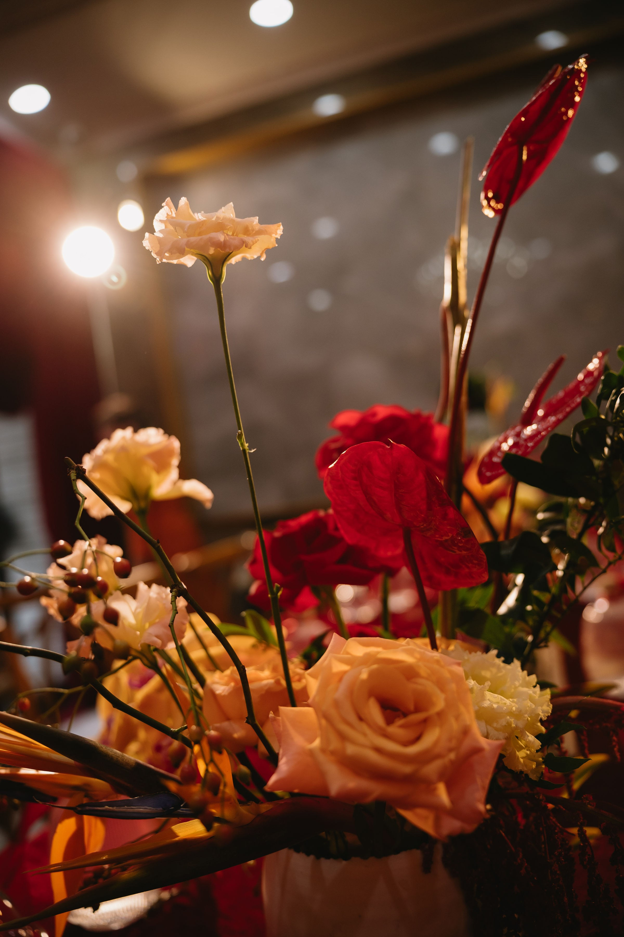 GIANMARCO-PHƯƠNG ANH