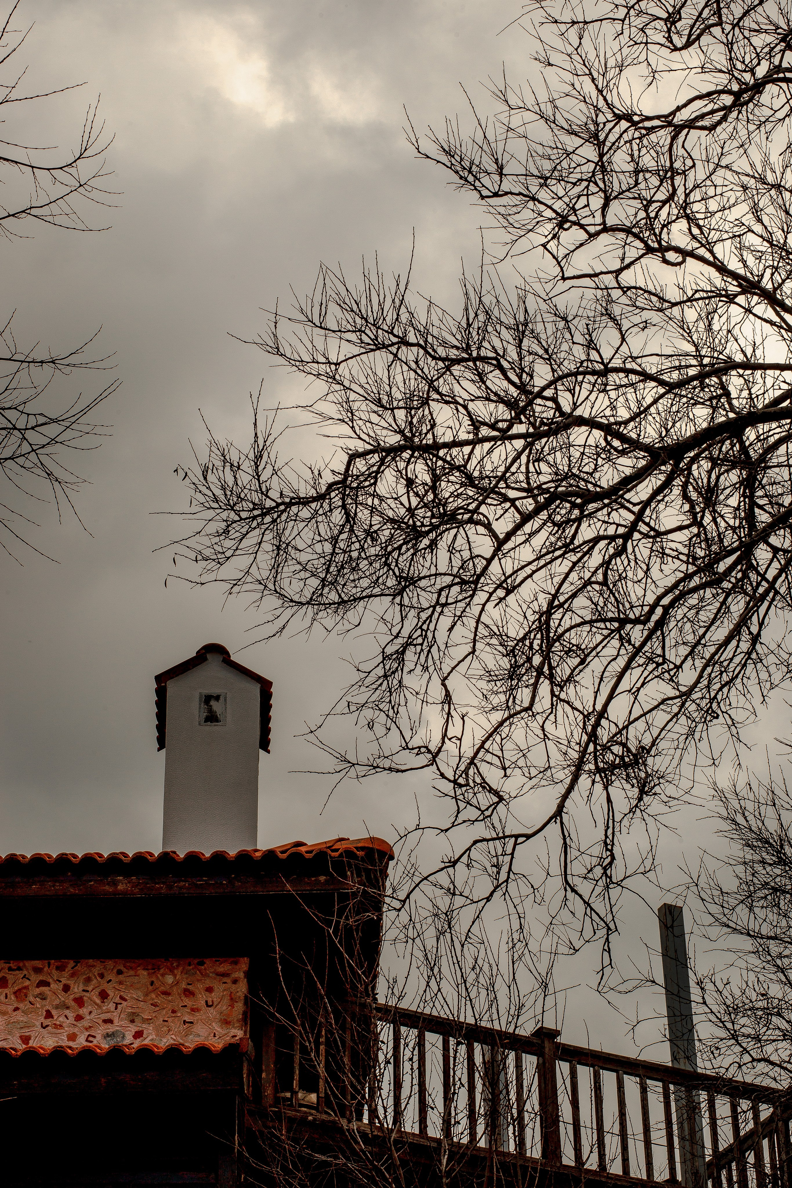 Turkey, Alanya. Art Photographer