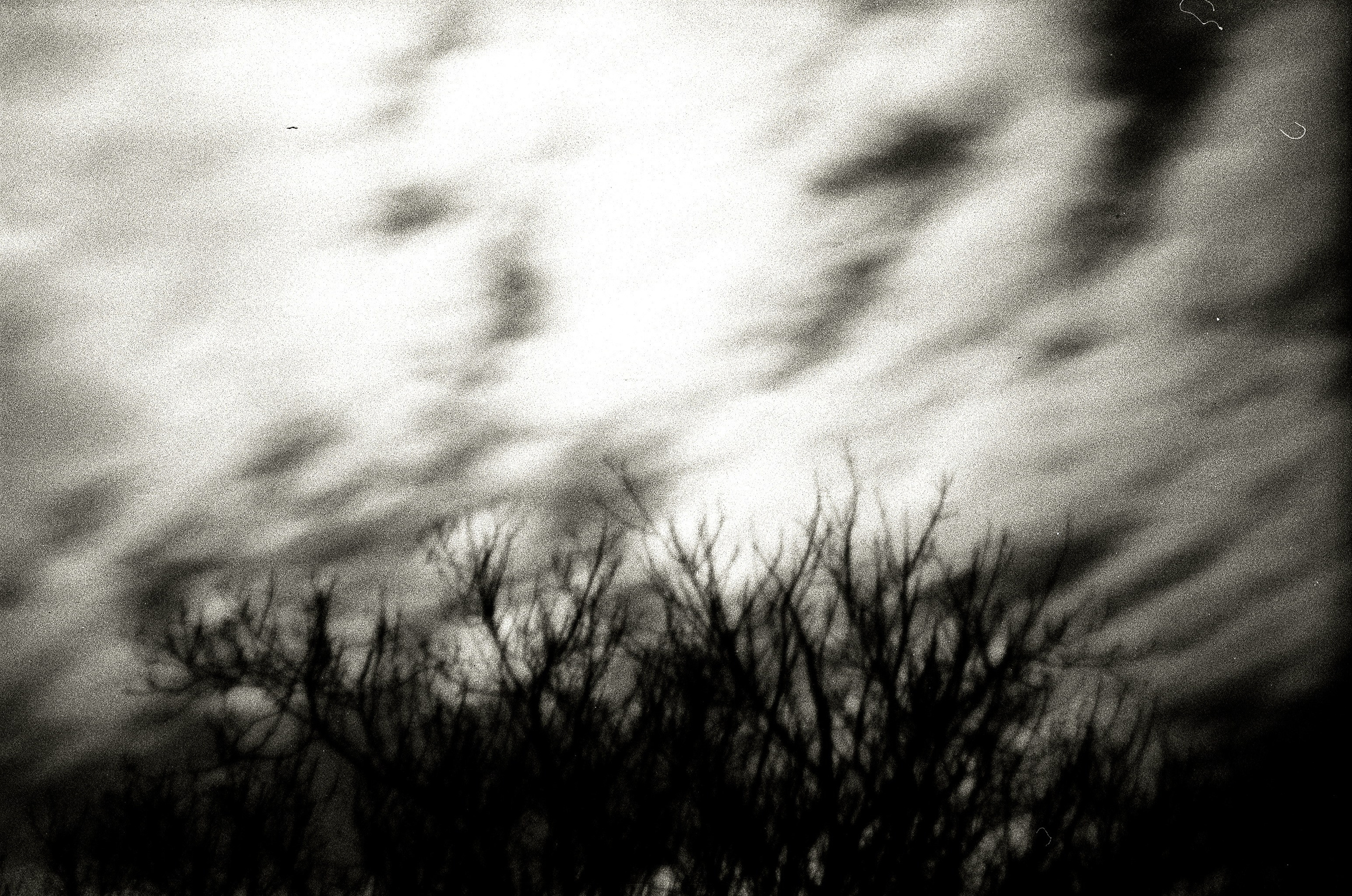 Personal Photography. Arman Milani, Brand-Focused Video Production & Content Creation, Based in Berlin