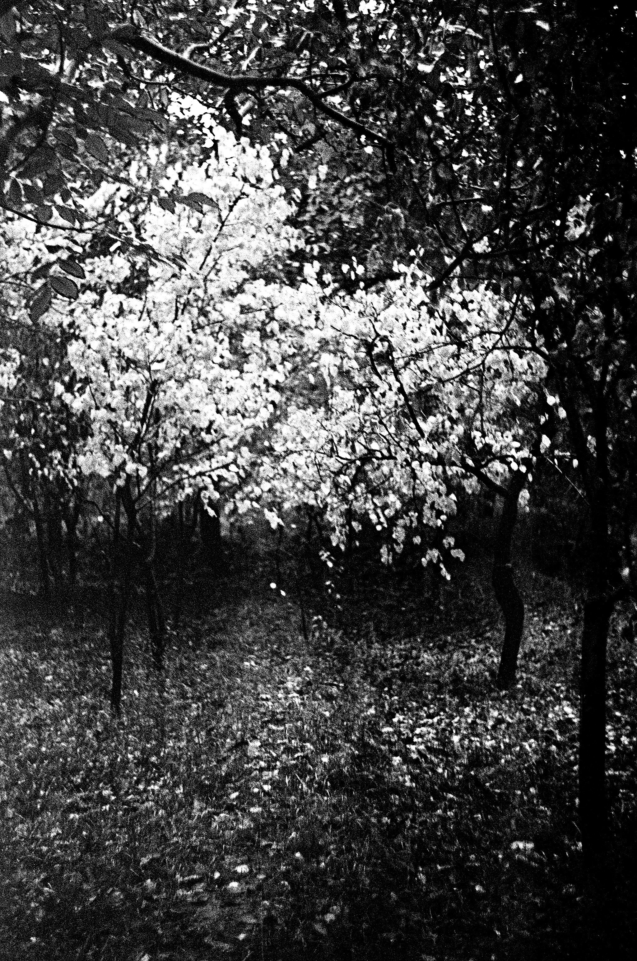 Personal Photography. Arman Milani, Brand-Focused Video Production & Content Creation, Based in Berlin