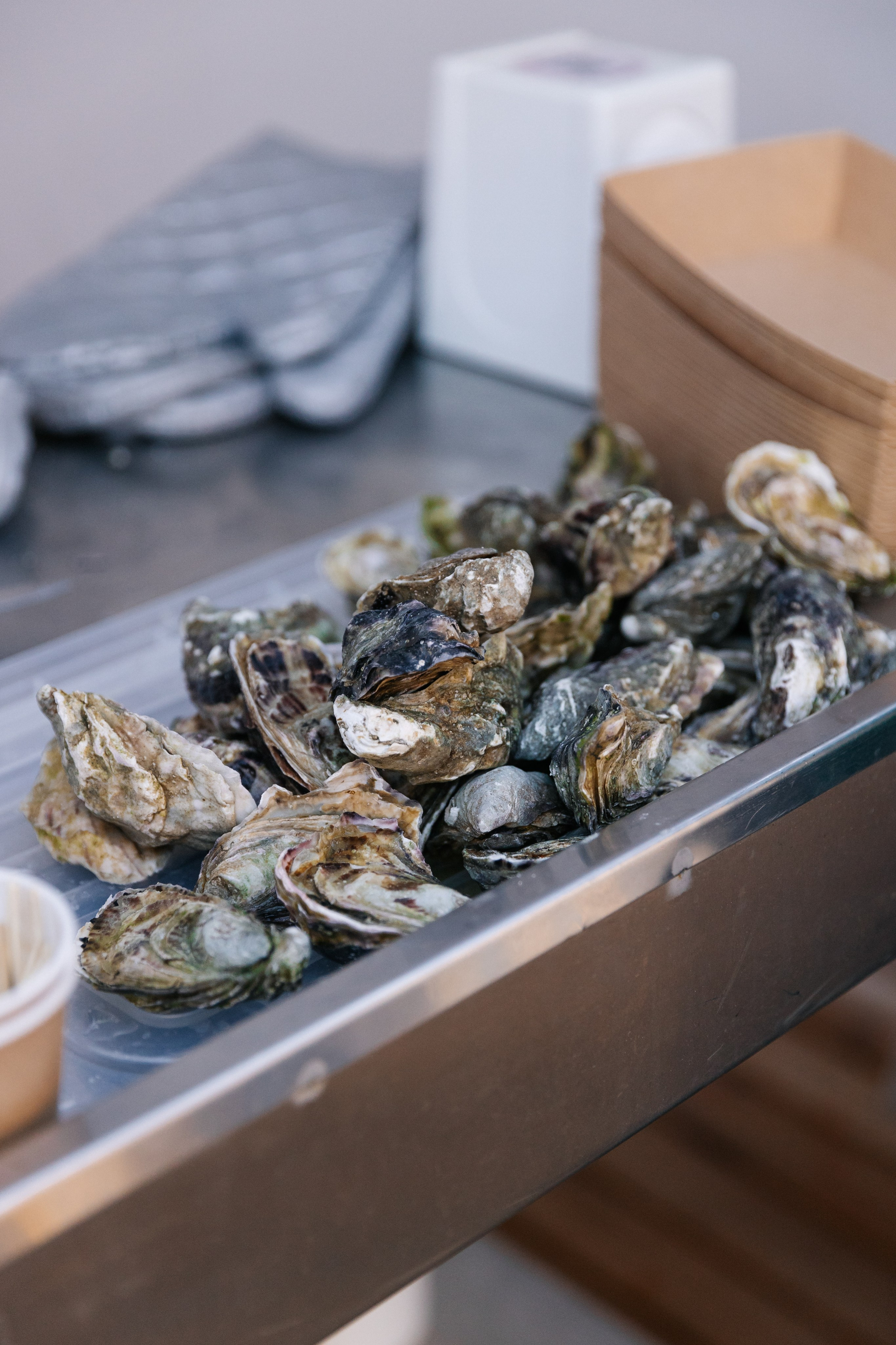 TOP SEXY — VIP MAGAZIN. Fulga Photographer