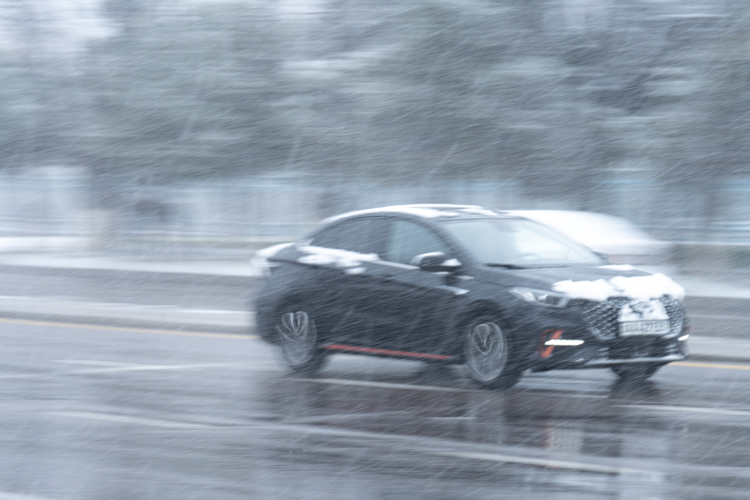 Первый снег в 2024 году. Георгий Намазов | Фотограф в Ташкенте