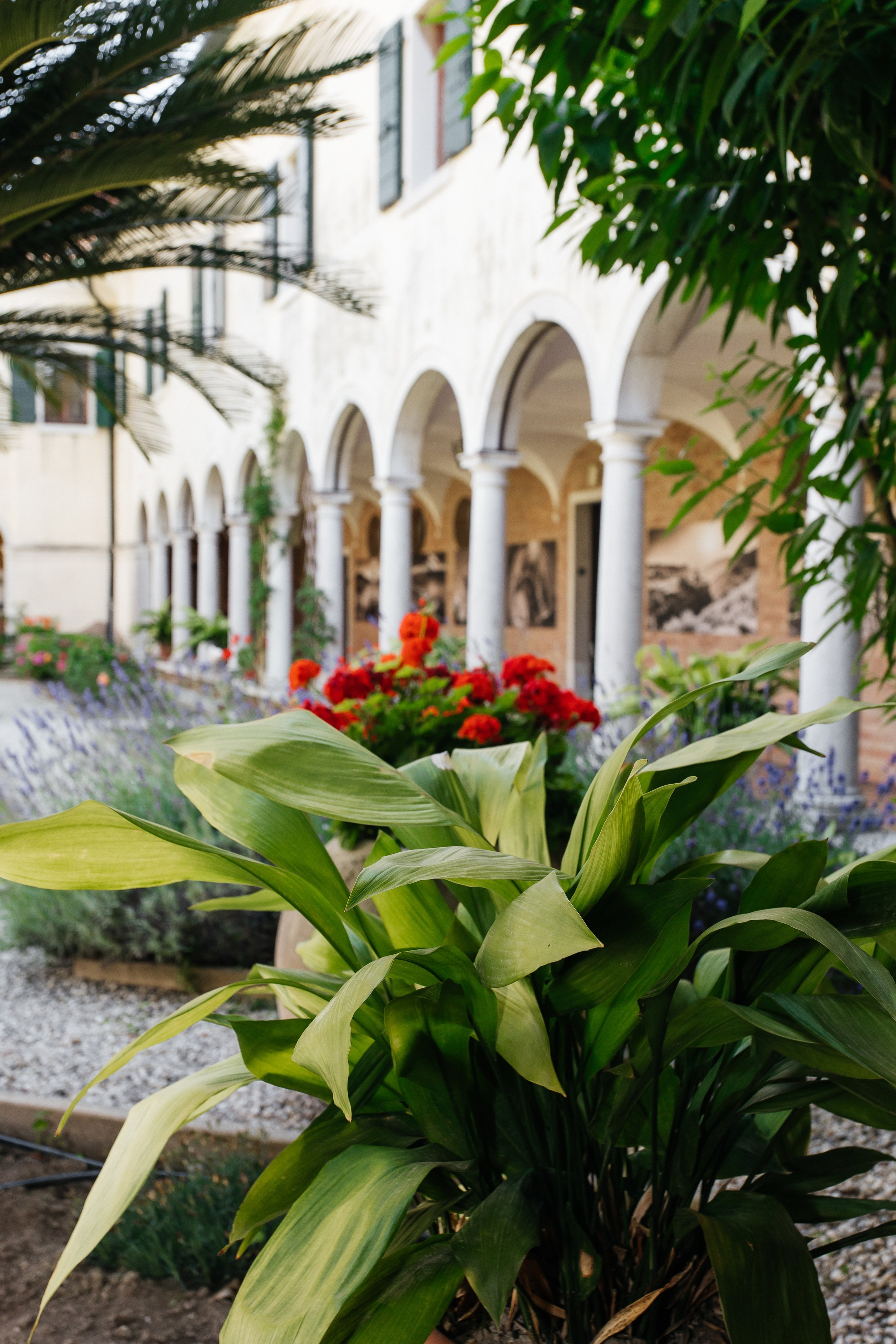 Mher & Anna. Armenian Wedding In Venice