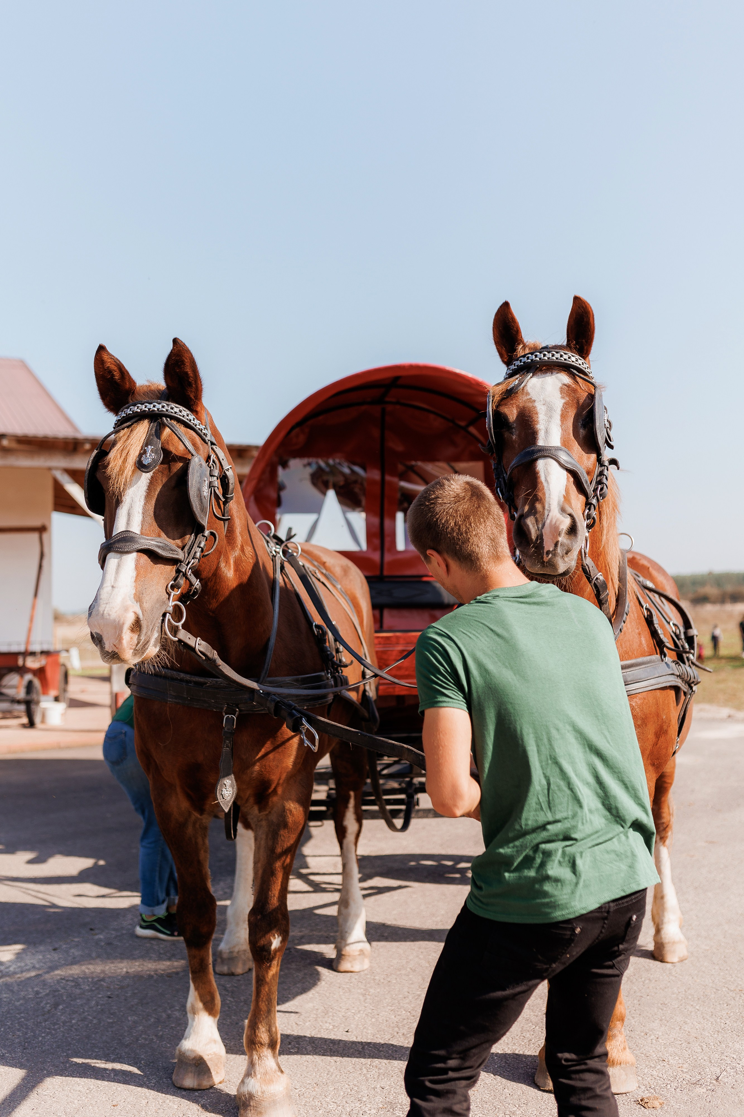 Екопарк Аміла. Ірина Терещук