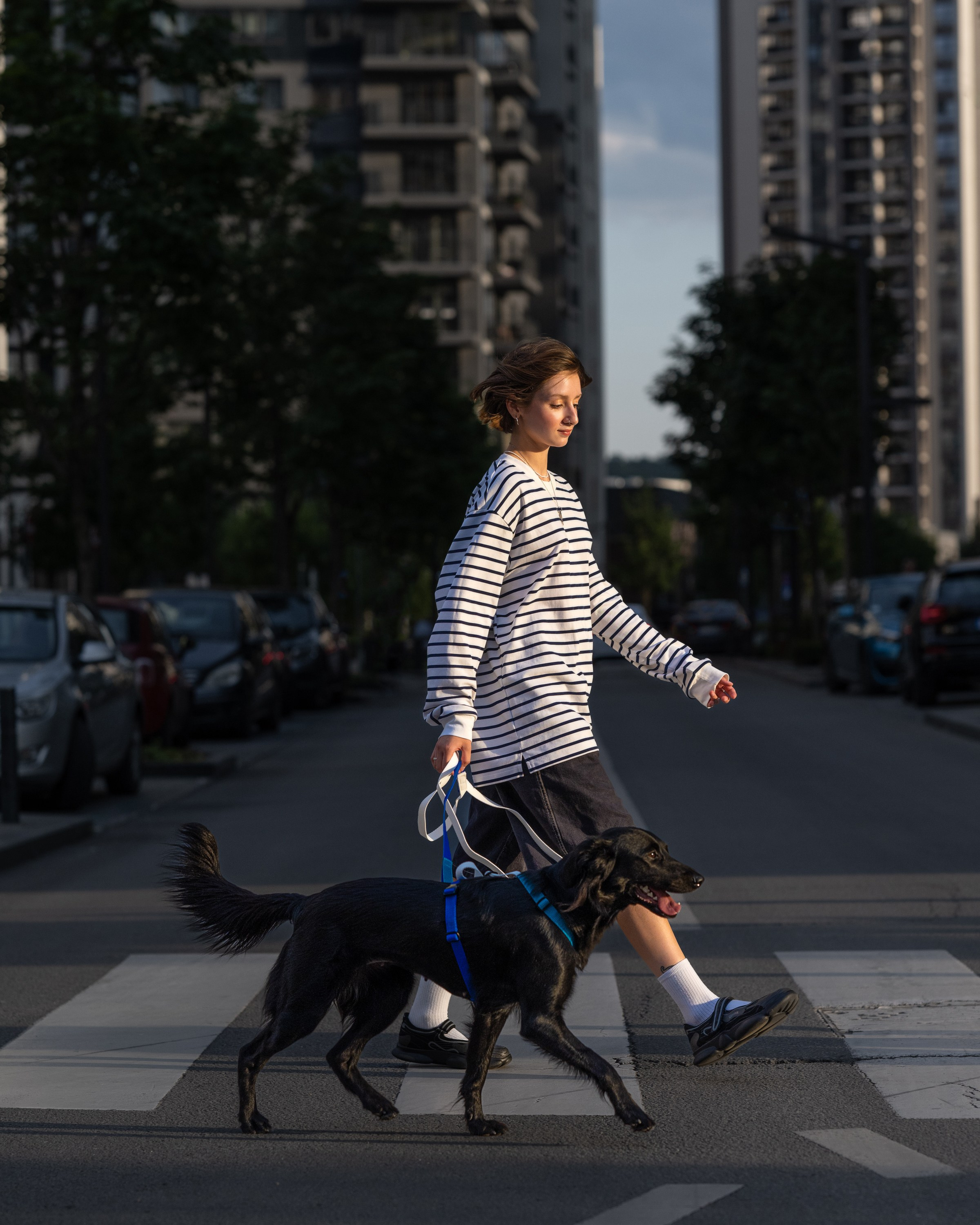 Commercial & UGC Pet Product Photography by Tanya Asfir. Tanya Asfir — Pet & Animal Photographer | Belgrade, Serbia