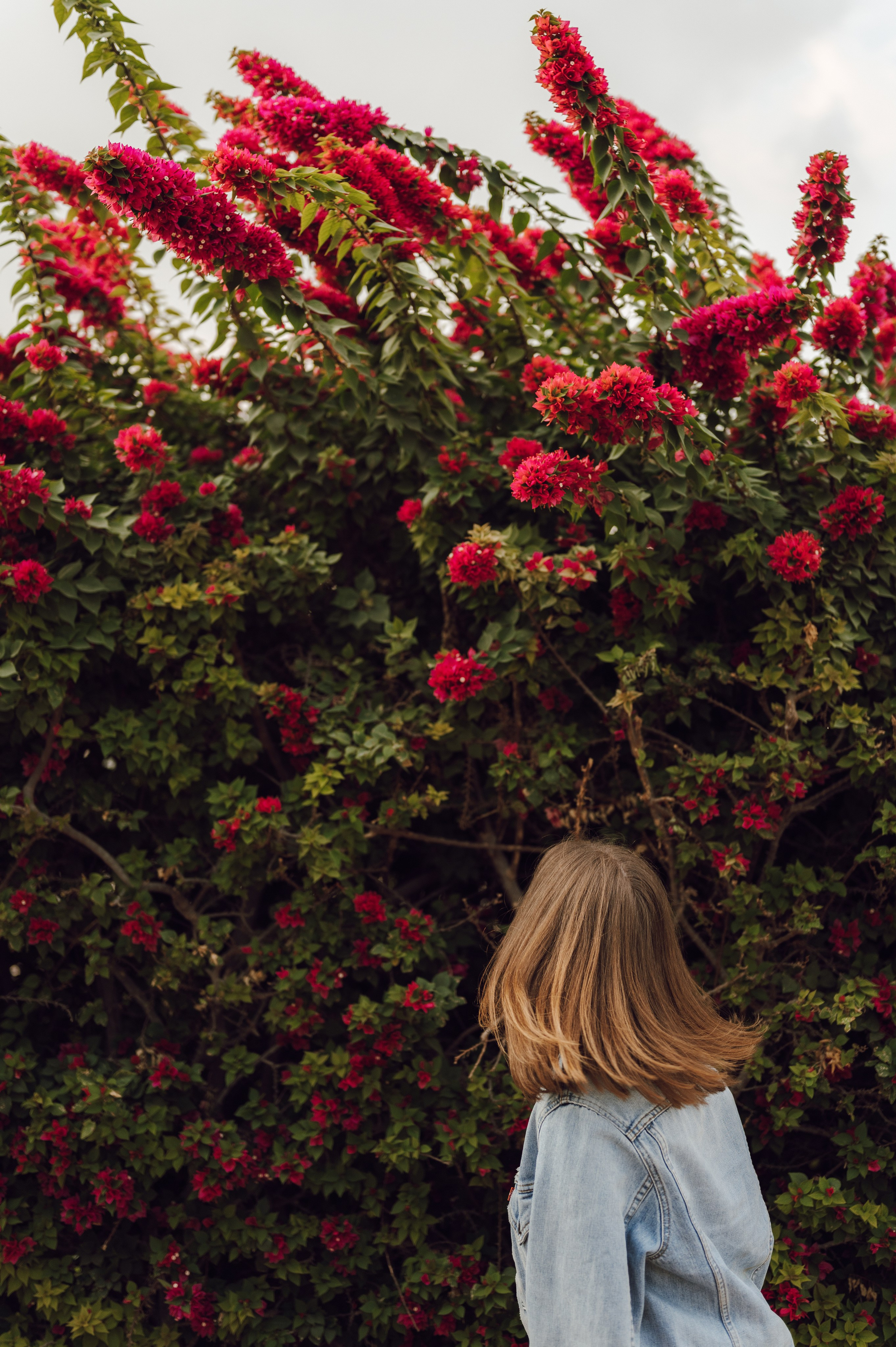 Dziewczyna przy kwiatach – naturalna fotografia rodzinna w plenerze, Poznań.