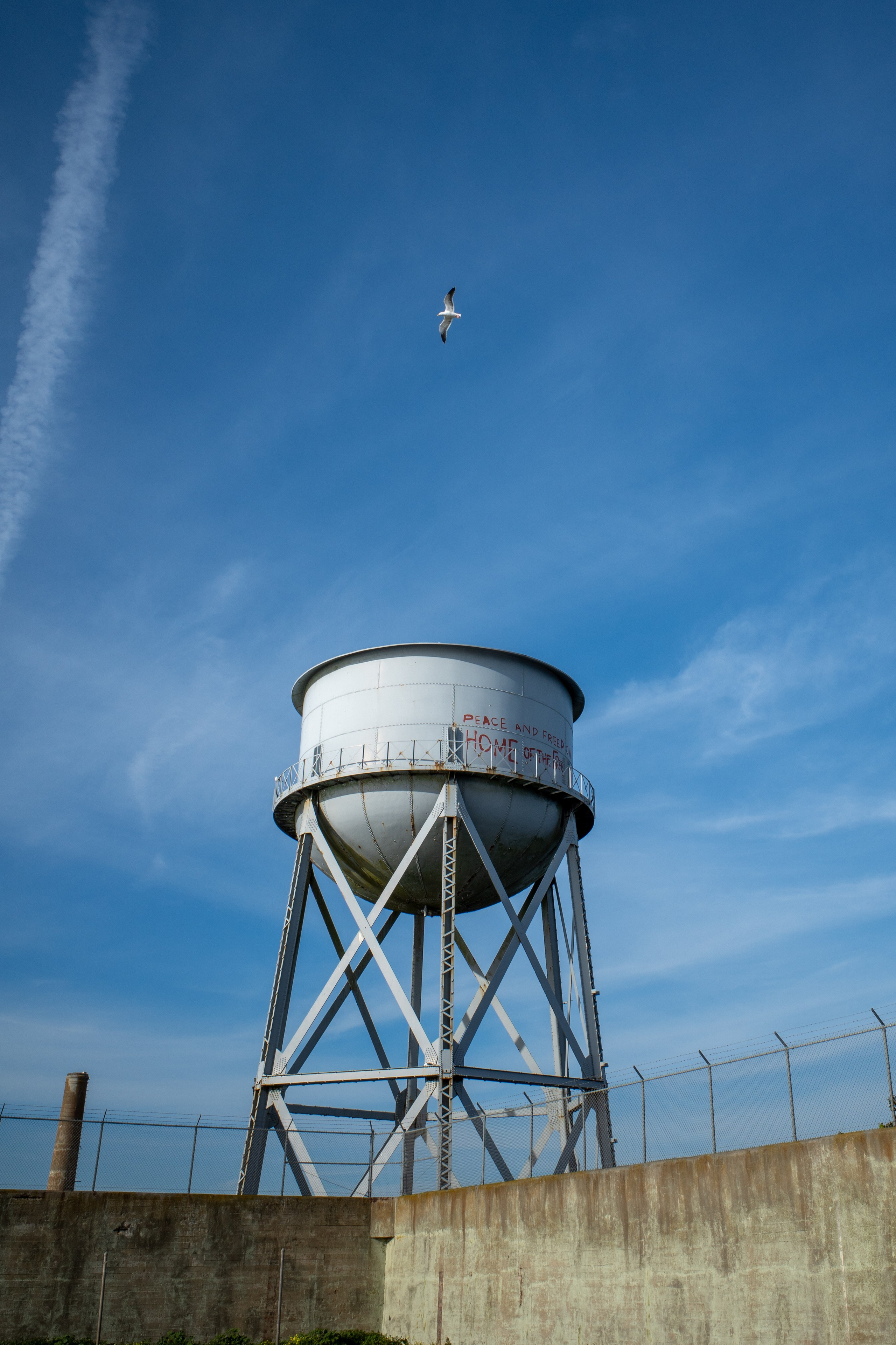 San Francisco. Aleks.photo | Book a photoshoot