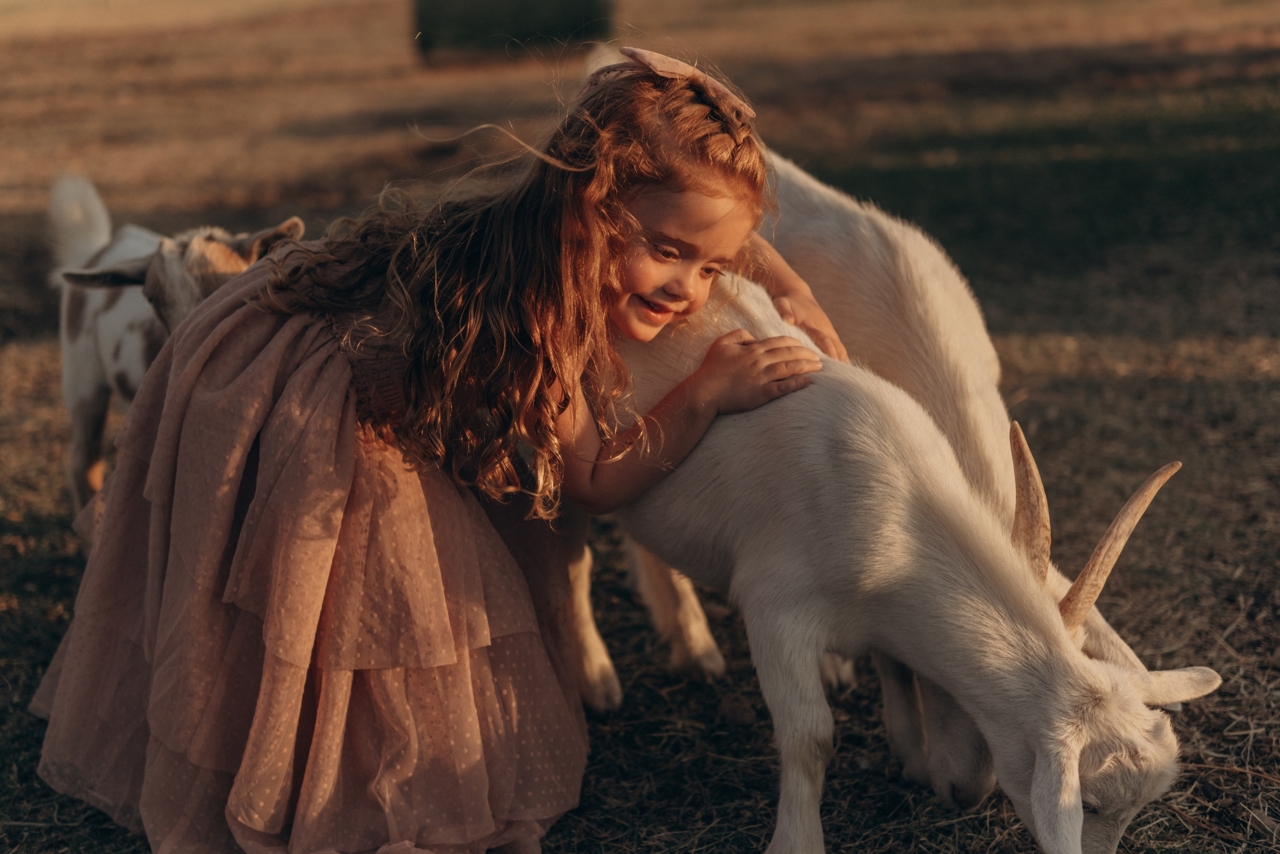 Little Princess. Lens Captures Life