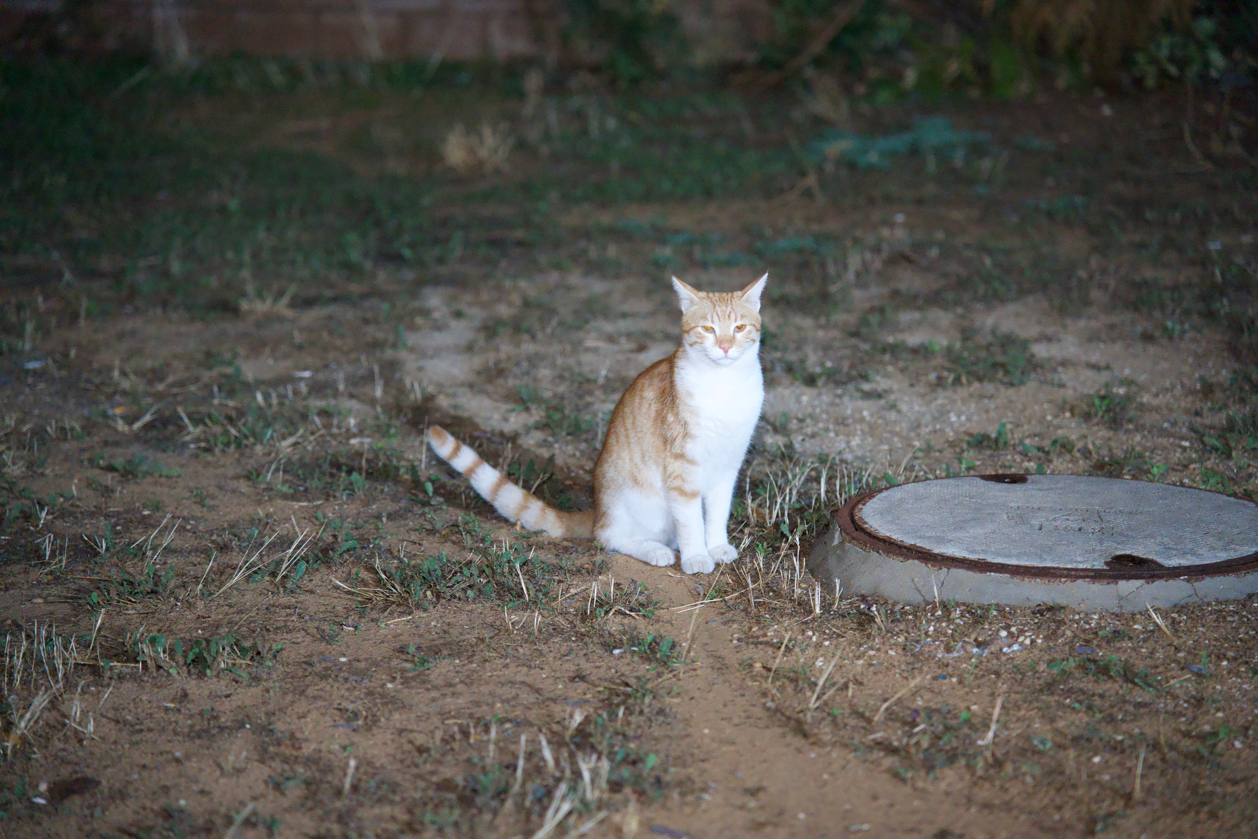 Everything from everything