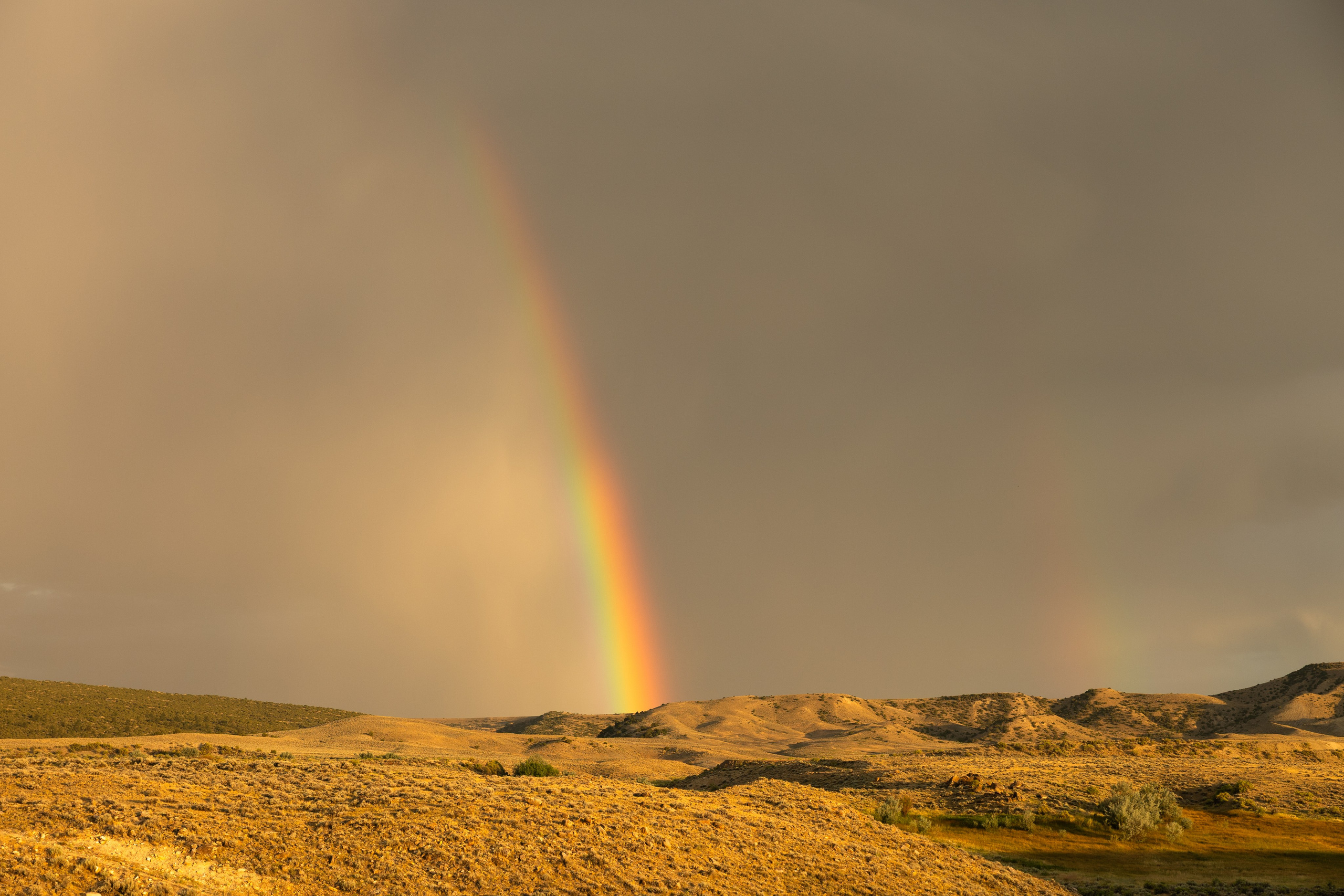 Wyoming. Family Lifestyle Photography