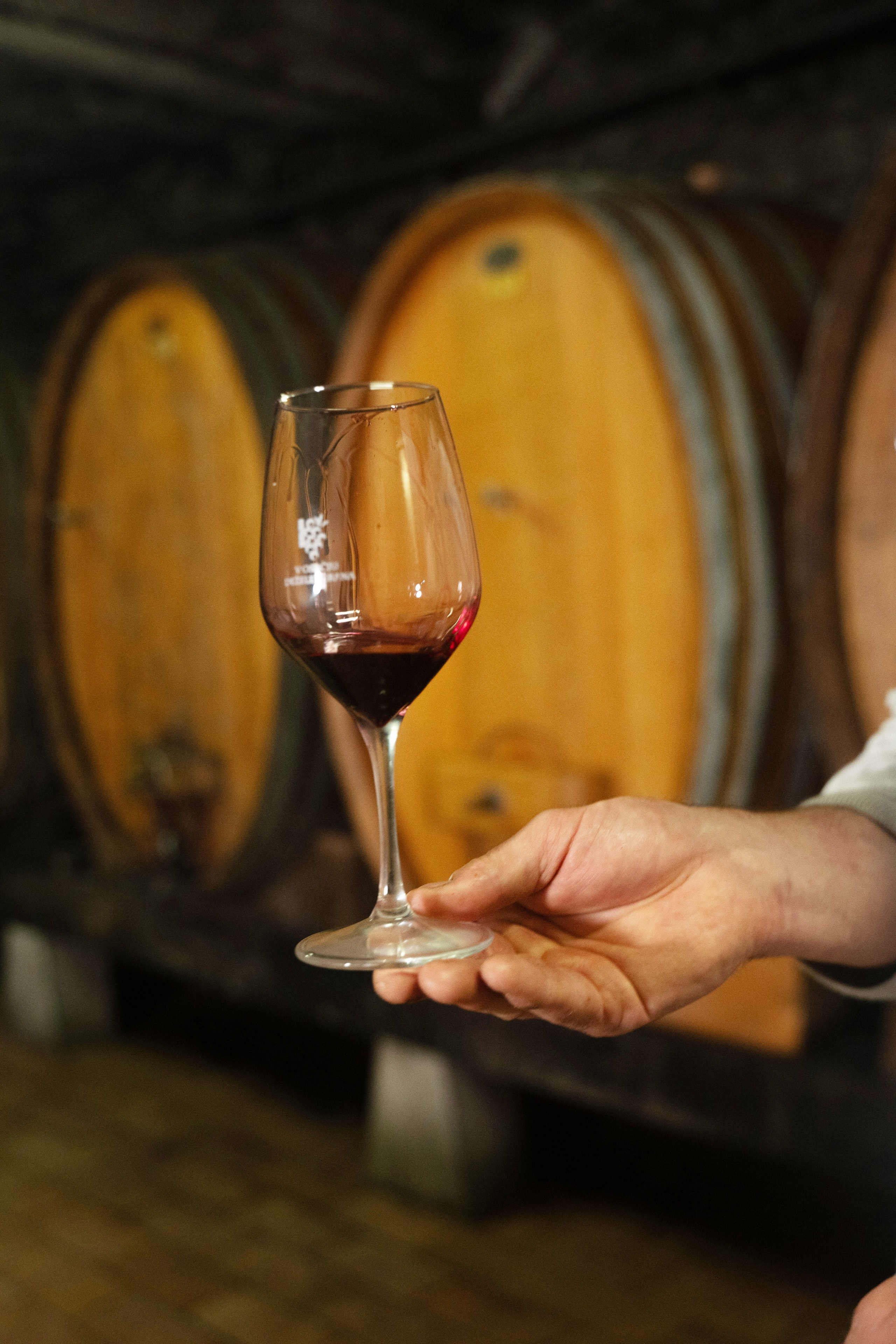 Projekti. Fotografinja in videografinja Mariia Bortiakova iz Slovenije: fotografiranje dogodkov, portretov in snemanje videov po vsej Sloveniji