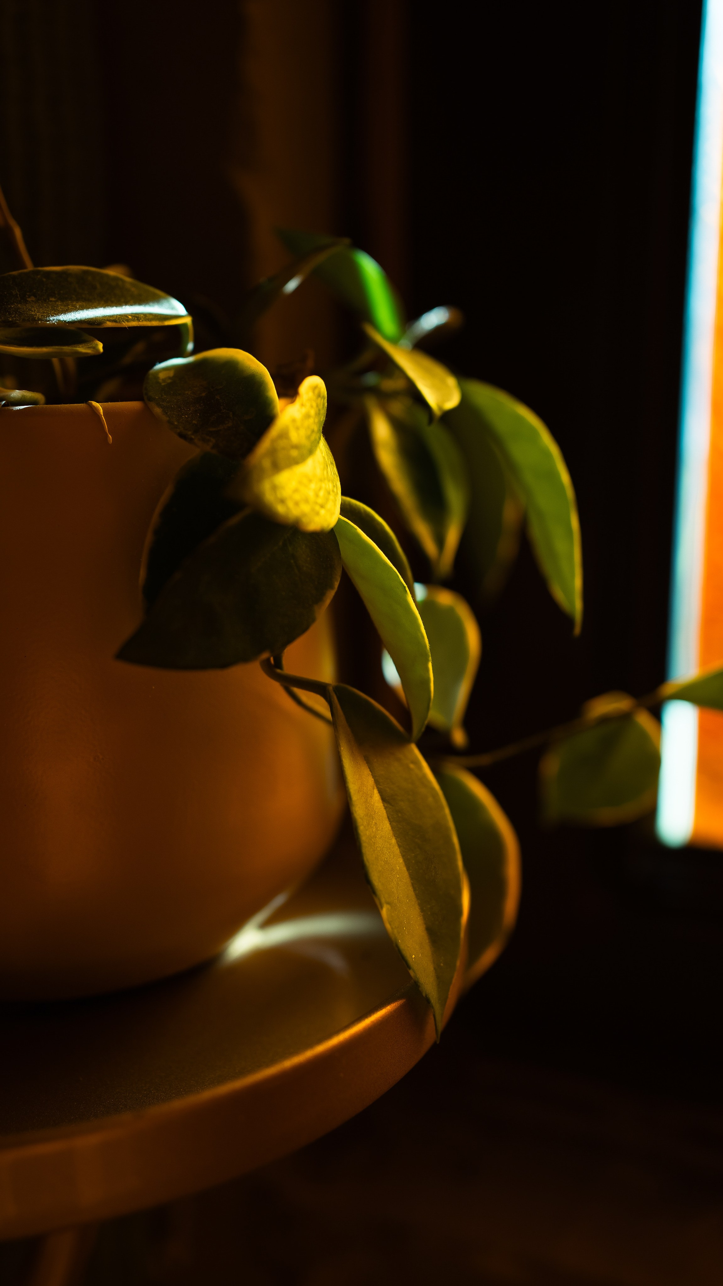 Events. Tatiana Ketova