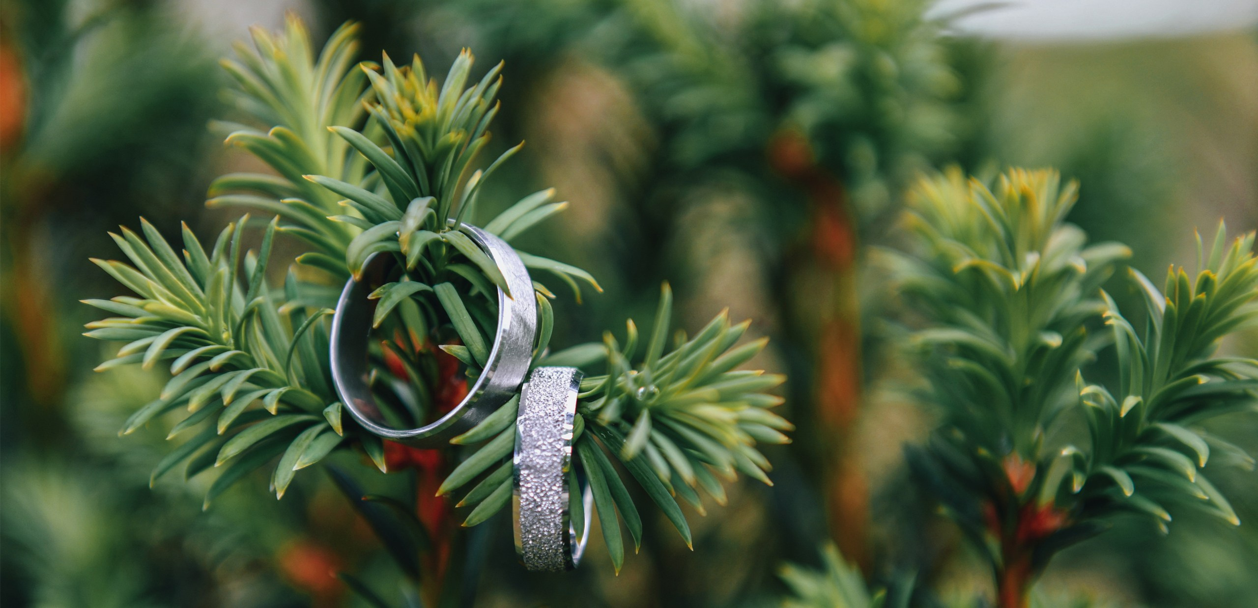 Pro Studio Photo & Video Team