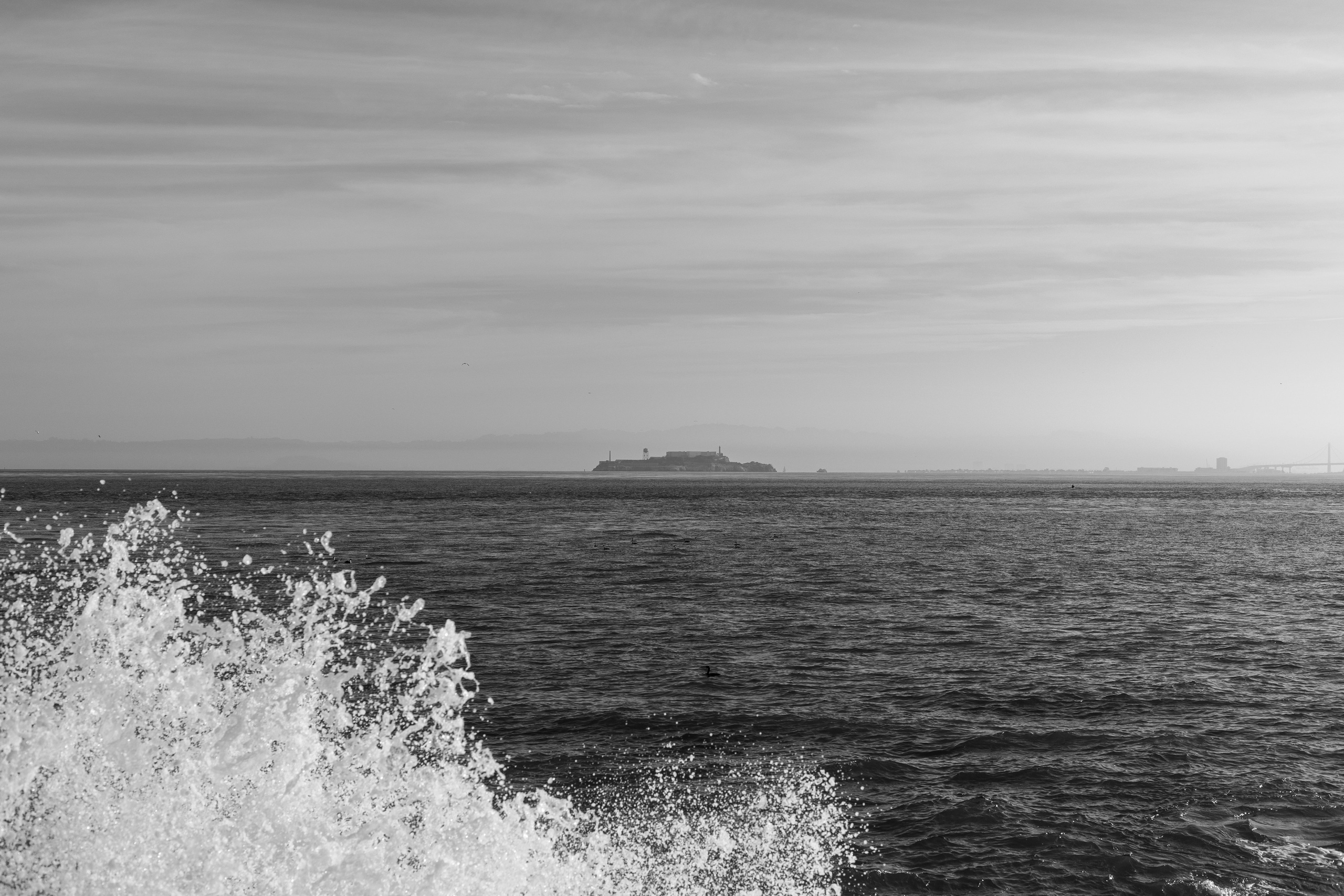 San Francisco. Aleks.photo | Book a photoshoot