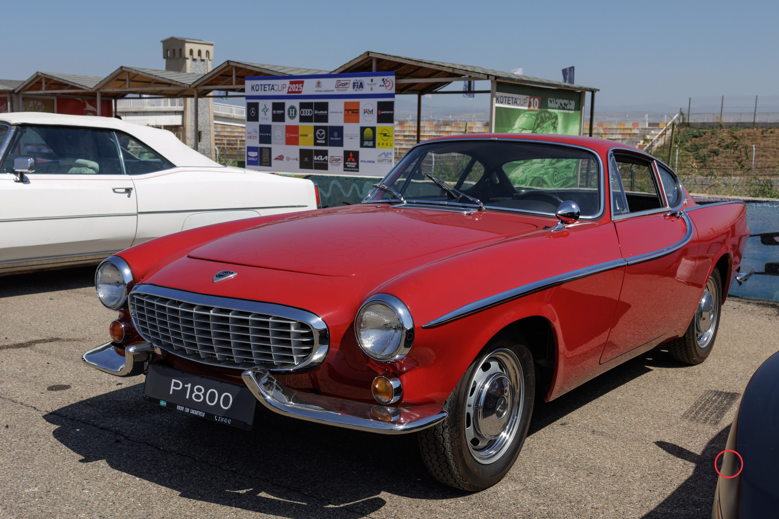 კოტეტას თასი 2025. FramefreeMan