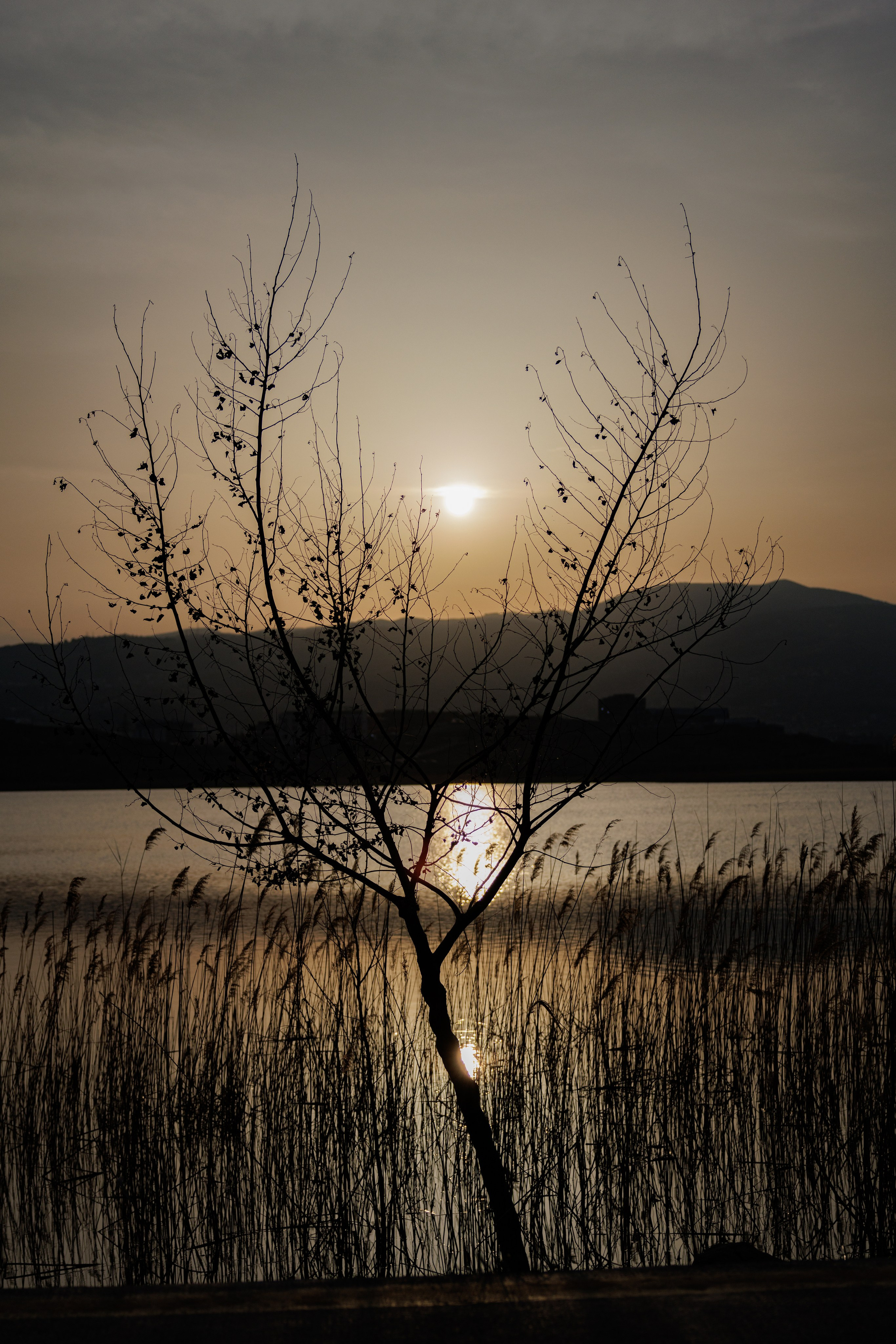 ბუნება. FramefreeMan