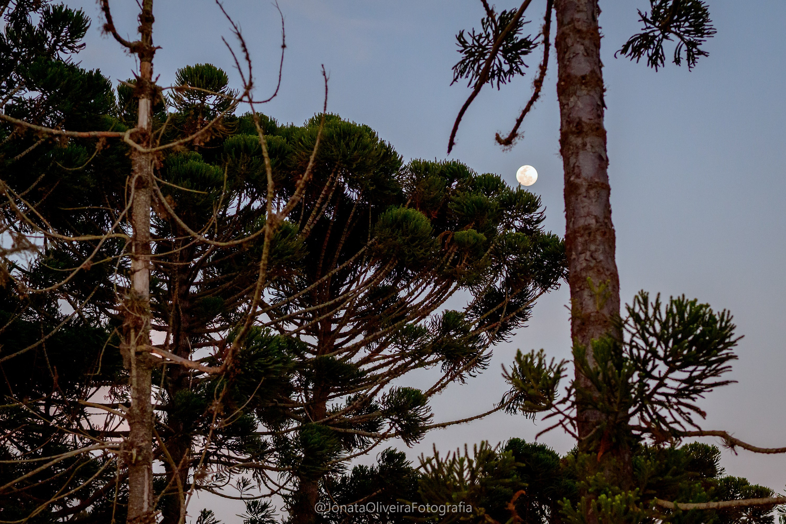 Pre Wedding Luérica e Vinicius. Fotografia de casamentos e ensaios em avaré Jônata Oliveira