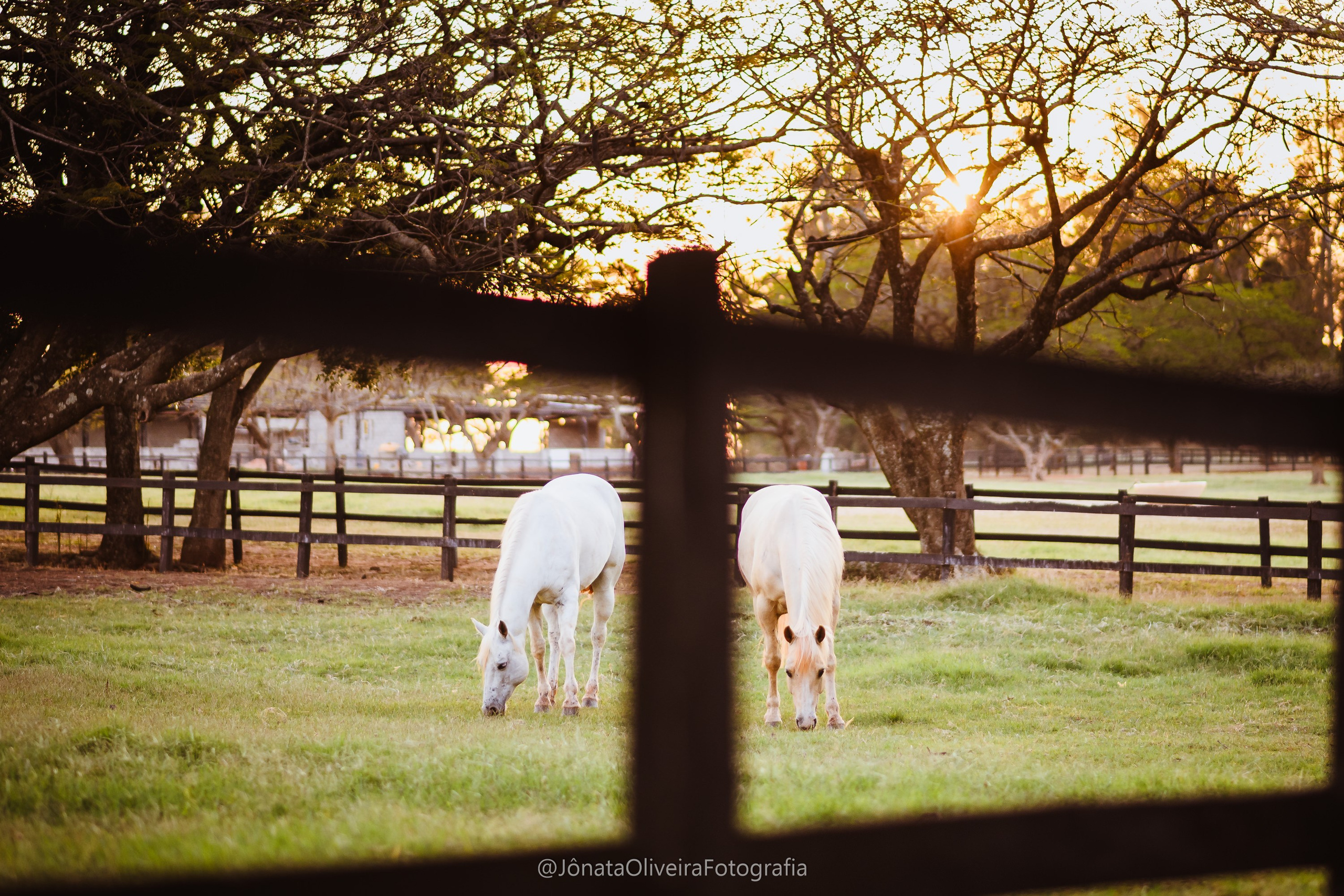 Pre Wedding Luérica e Vinicius. Fotografia de casamentos e ensaios em avaré Jônata Oliveira
