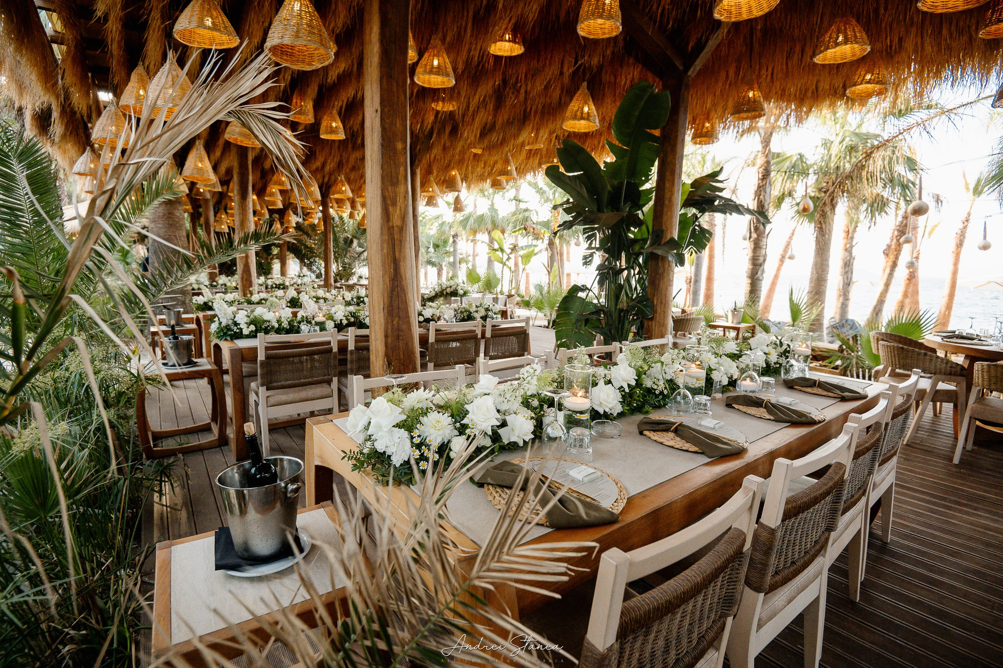 Sorina & Razvan. Andrei Stanea