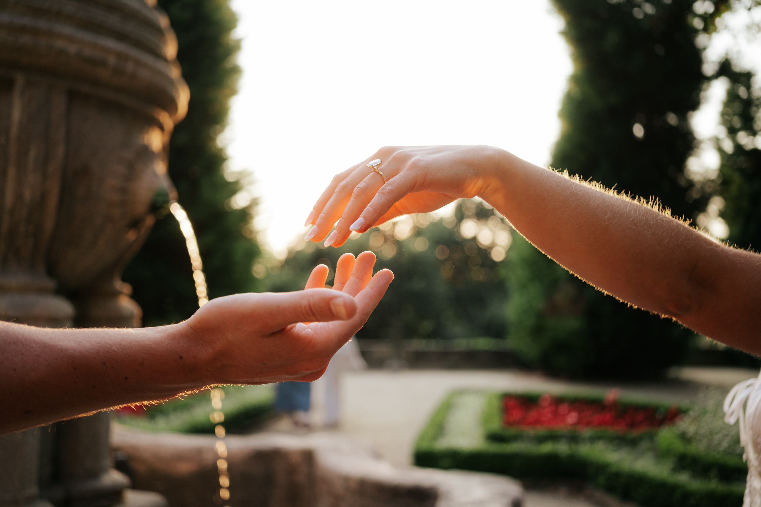 Wedding Proposal Braden. Davi Valente