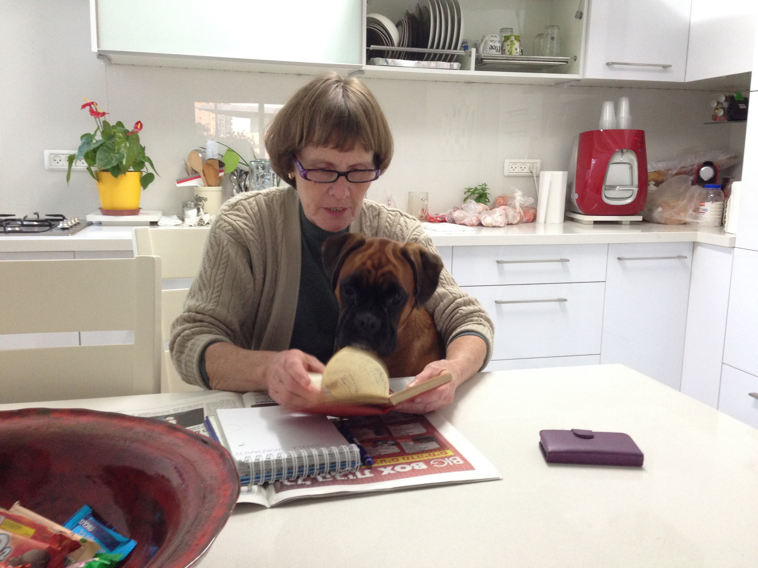 My ״Star״ Boxer Dog