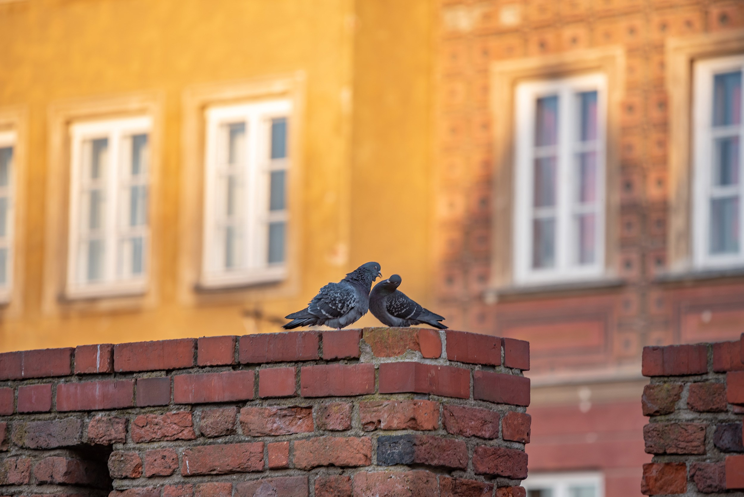 Warsaw. Photographer in Yerevan
