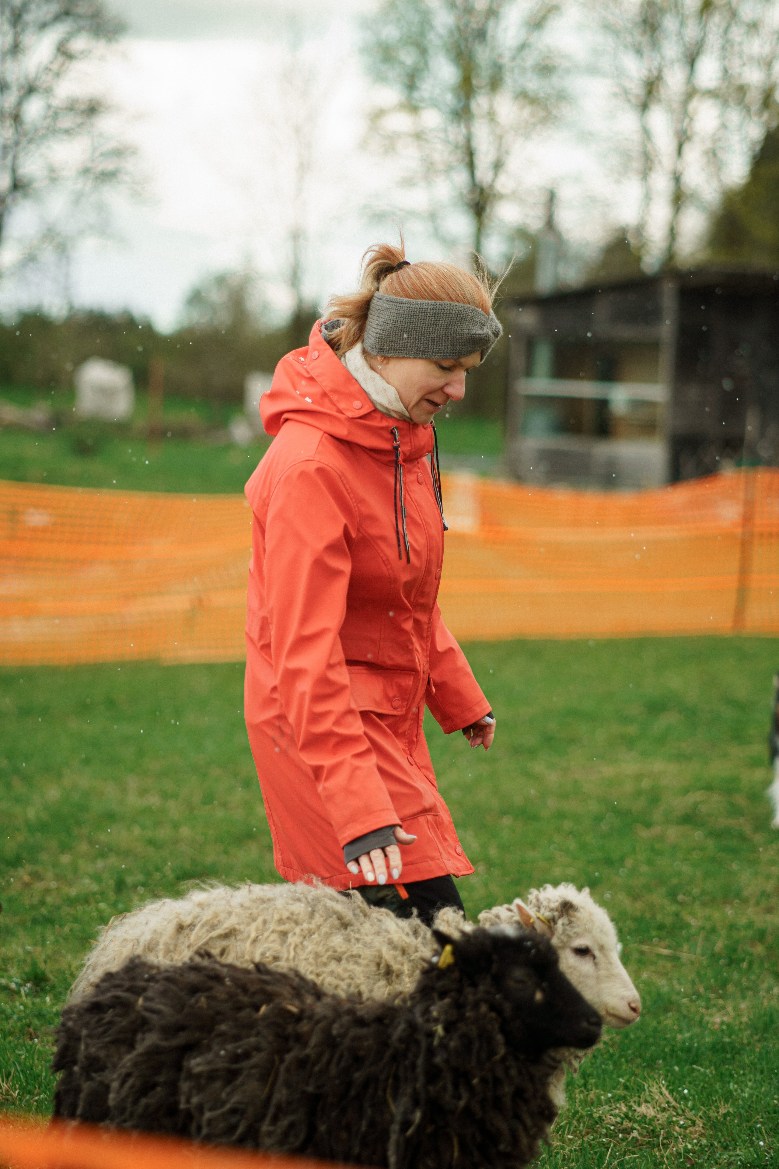 Herding Days, 26 apr. 2025. Kat Laisaar — Pet photographer in Tallinn