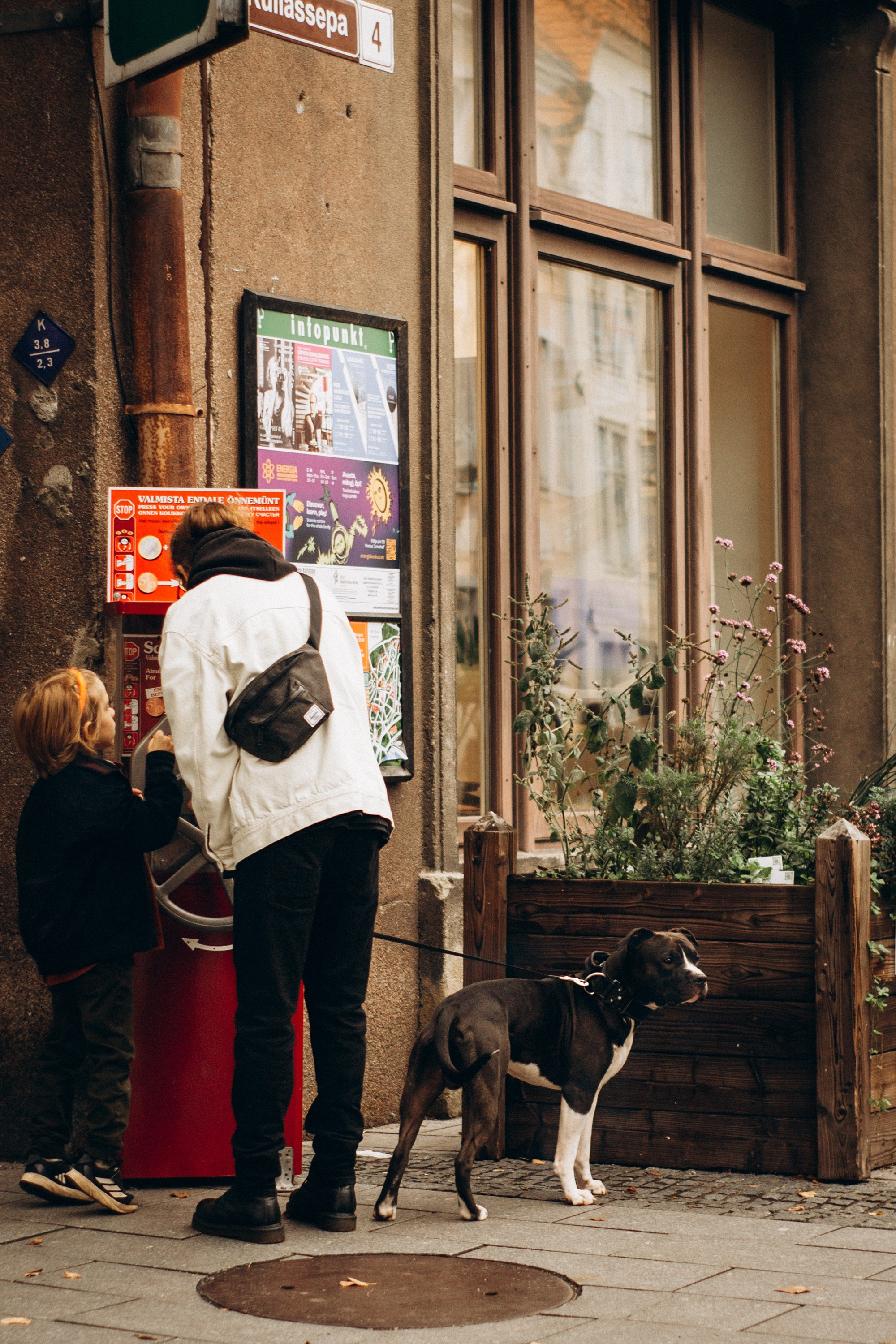 Dog Street Photography in Estonia. Kat Laisaar — Pet photographer in Tallinn