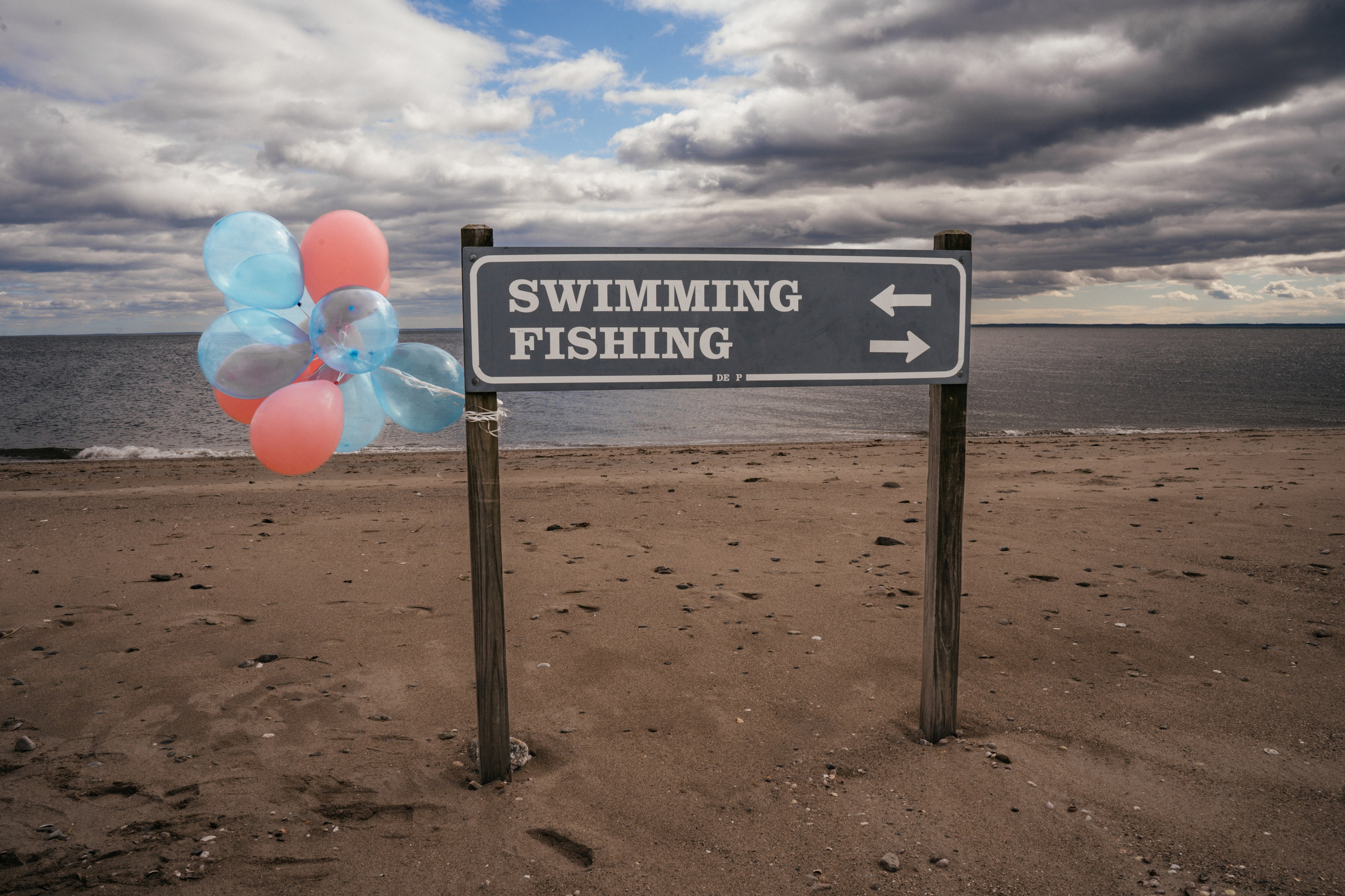 Baby Reveal (New York, USA). Diana Fedrigo | Fotografa matrimoni in Italia